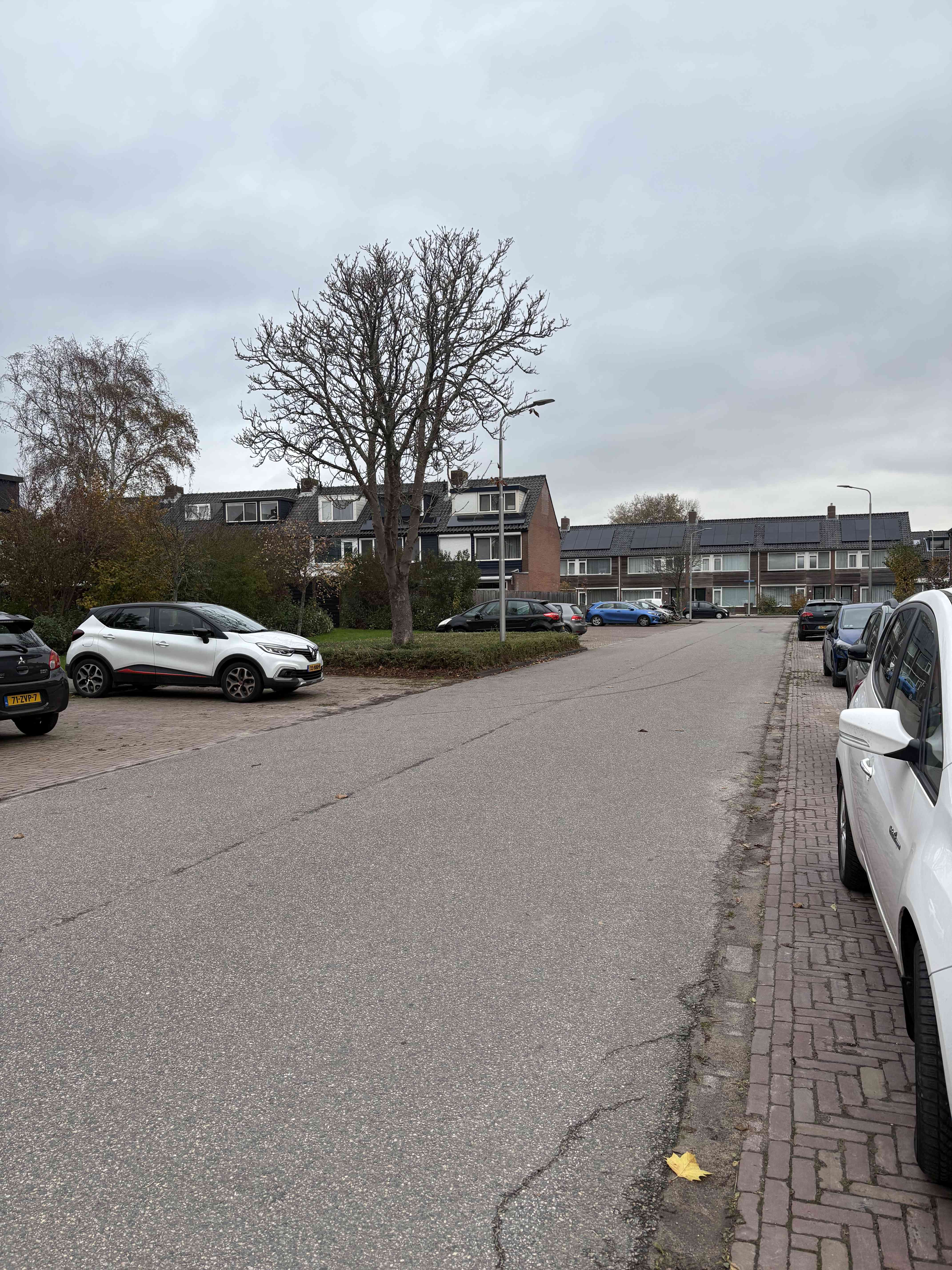 Rietgorsstraat 21 - Aalsmeer