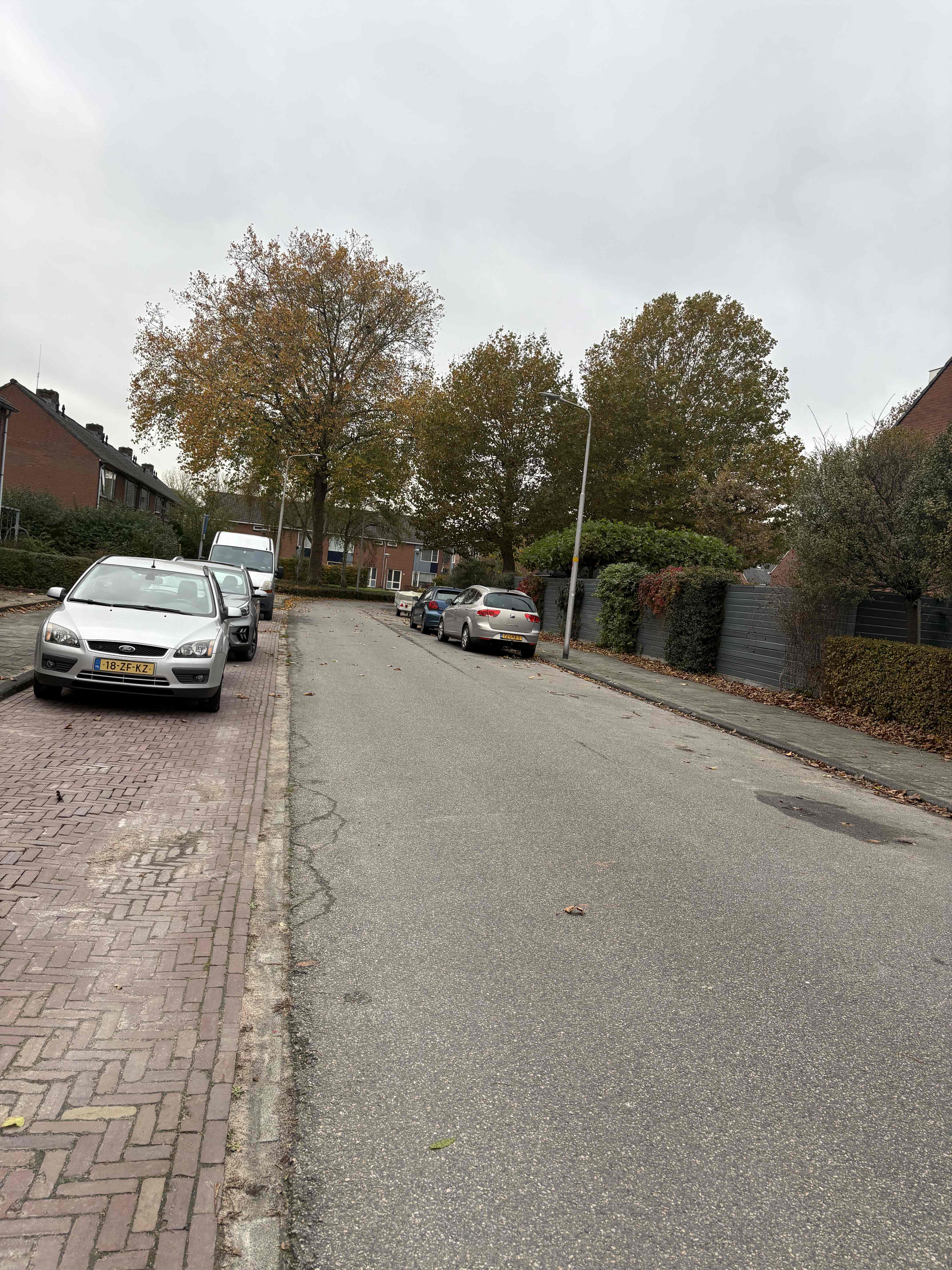 Rietgorsstraat 21 - Aalsmeer