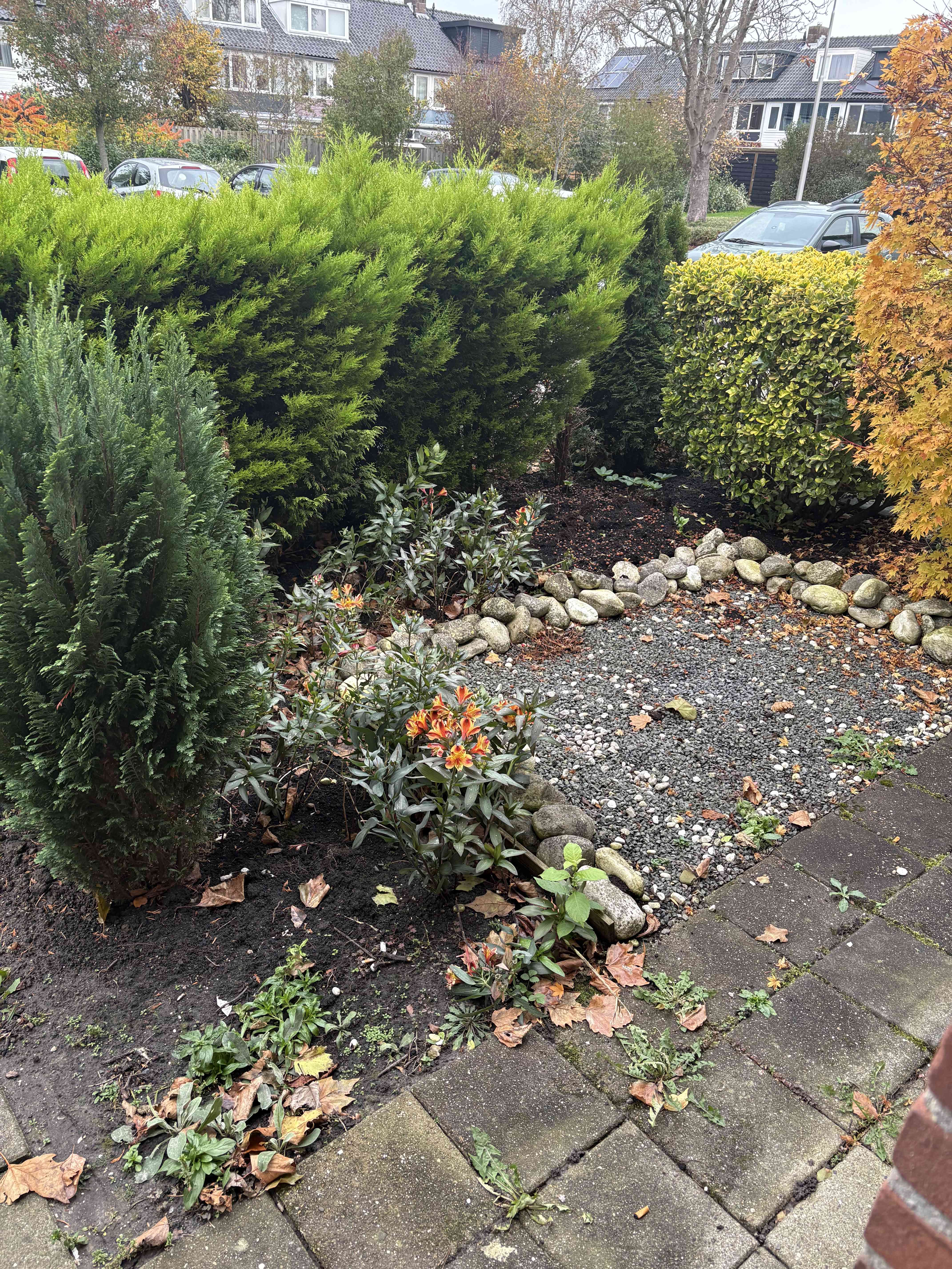 Rietgorsstraat 21 - Aalsmeer