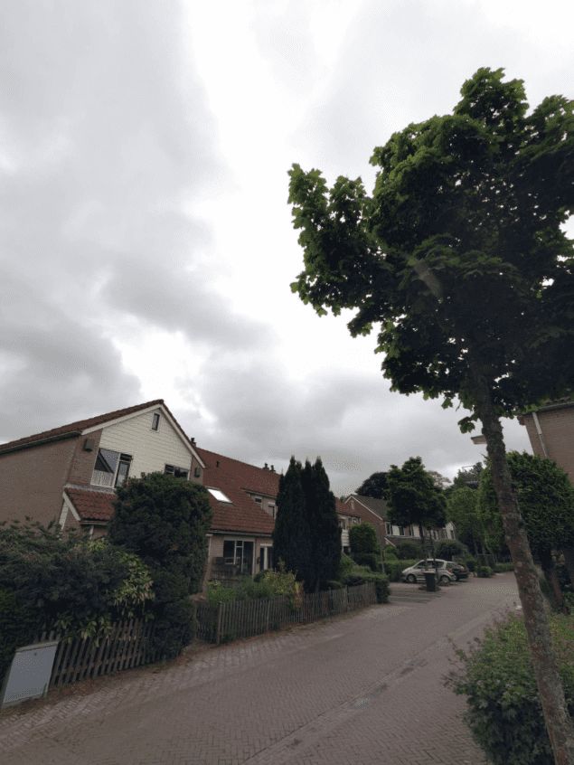 Ferry-Oversteegenhof 41 - Laren