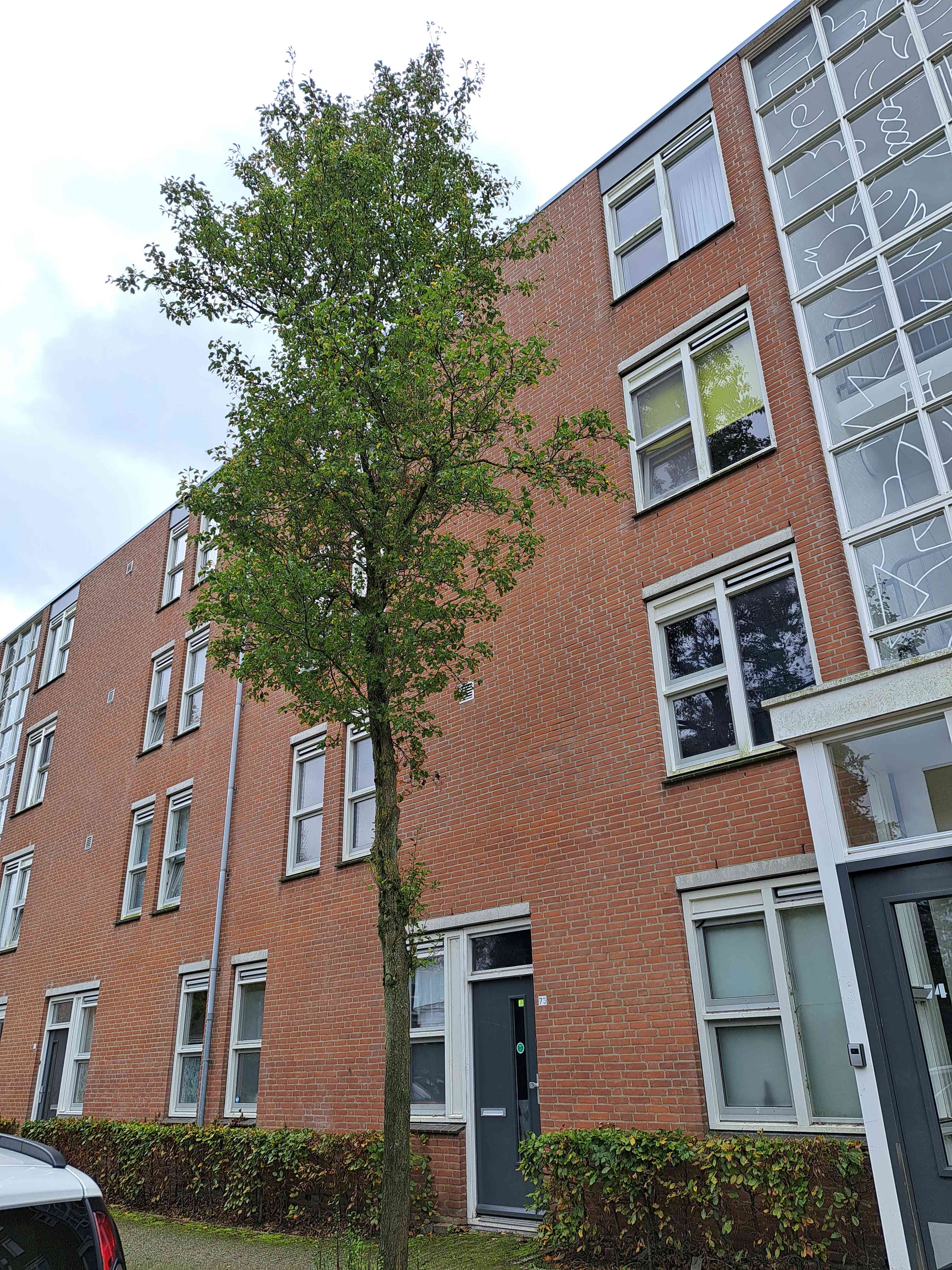 Langshof 82 - Almere