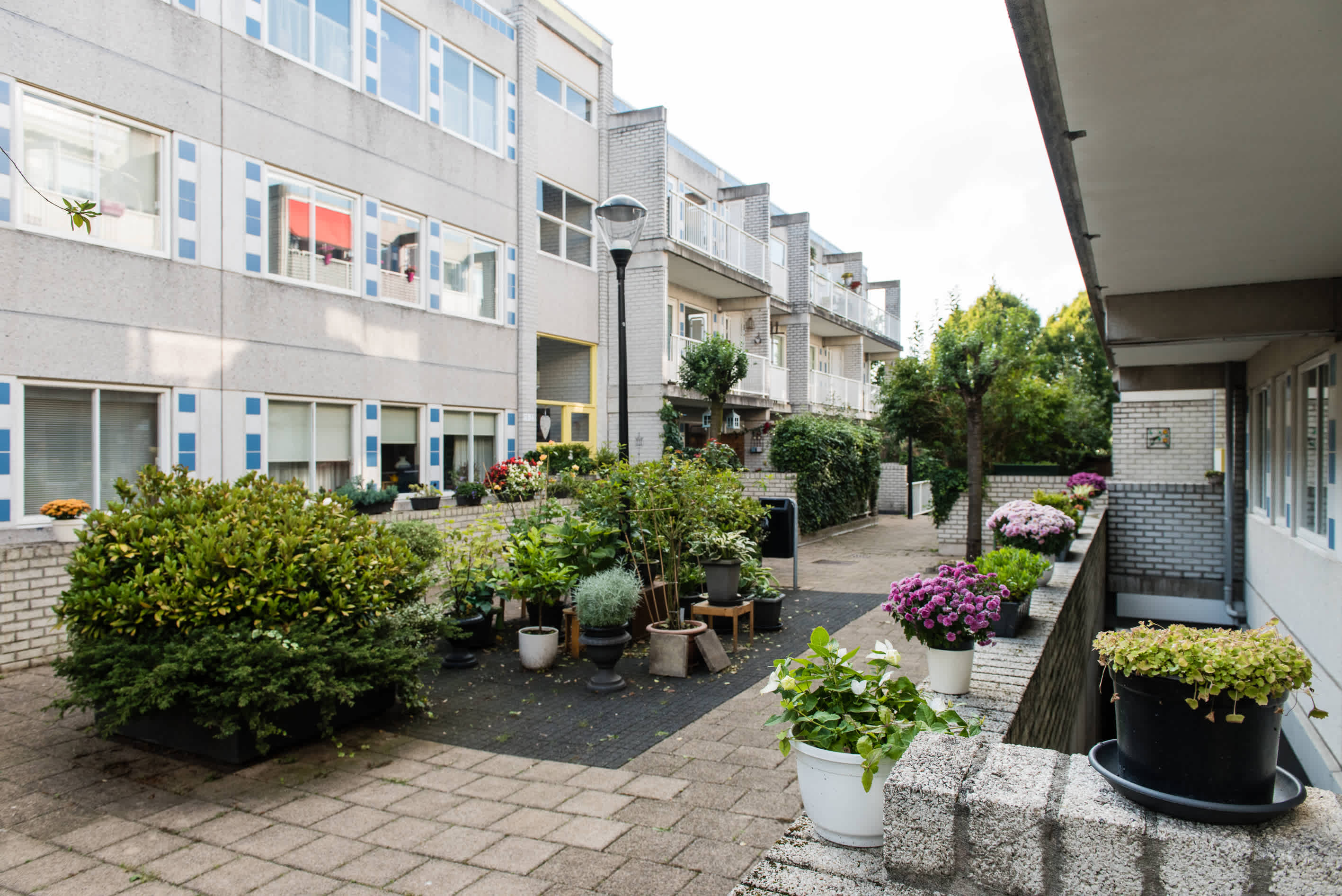 Antonlaan 163 - Zeist