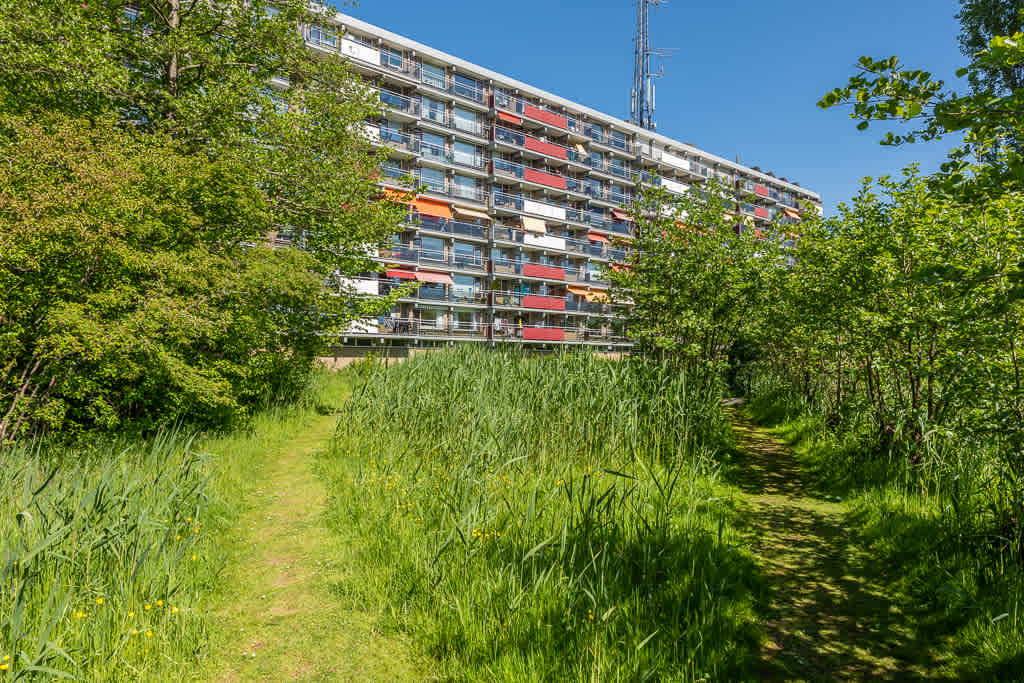 Ridder van Catsweg 365 - Gouda