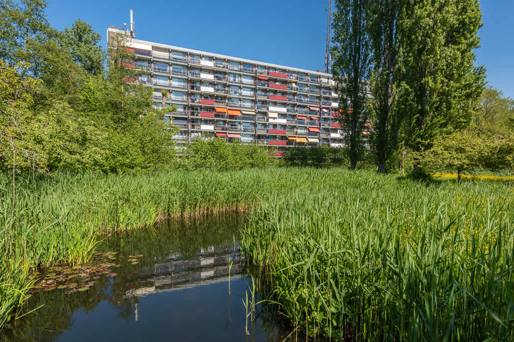 Ridder van Catsweg 365 - Gouda