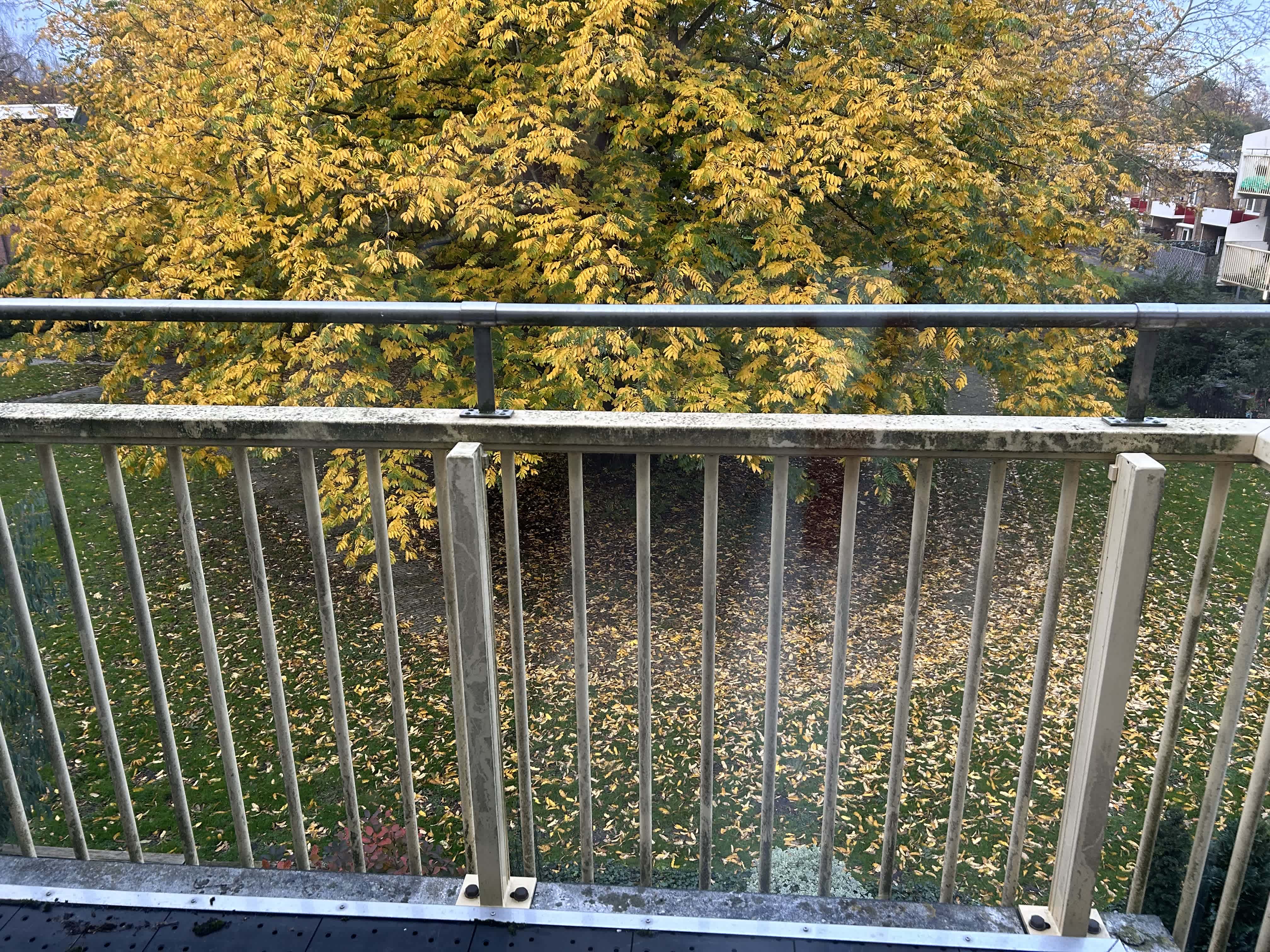 Tjotterlaan 418 - Zaandam