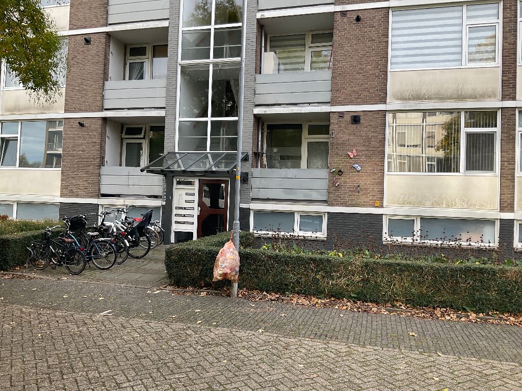 Burgemeester De Roeverstraat 17 - Tiel