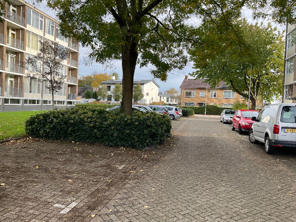 Burgemeester De Roeverstraat 17 - Tiel