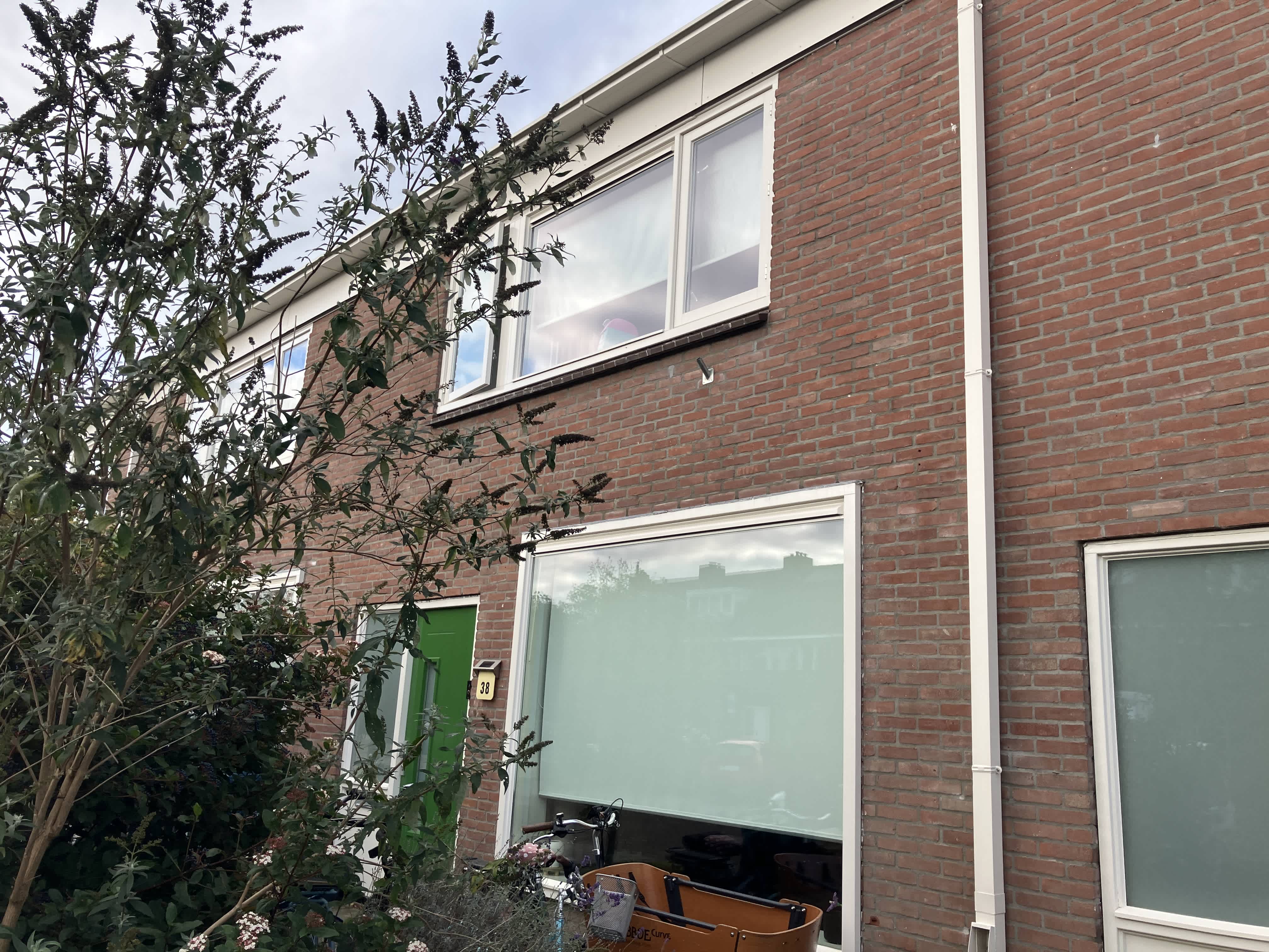 Kastanjelaan 38 - Vianen