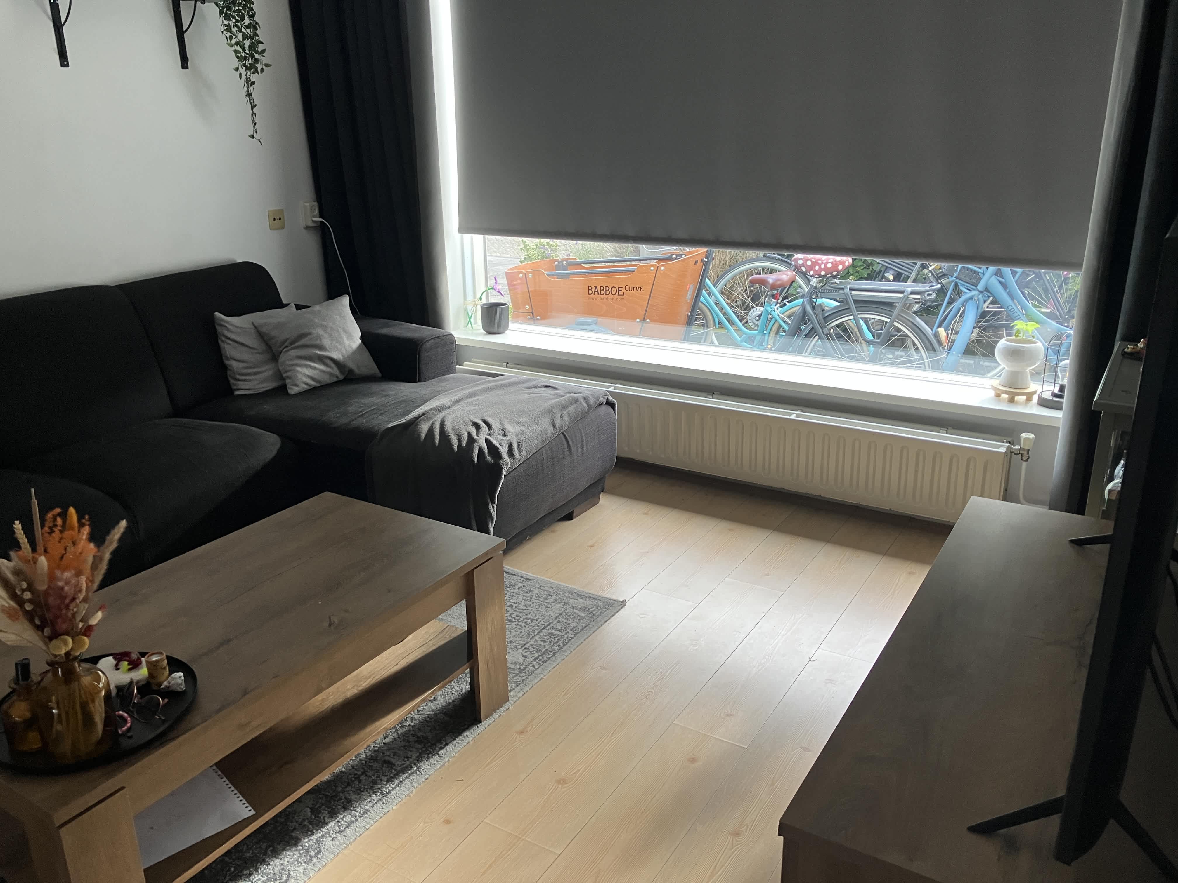 Kastanjelaan 38 - Vianen