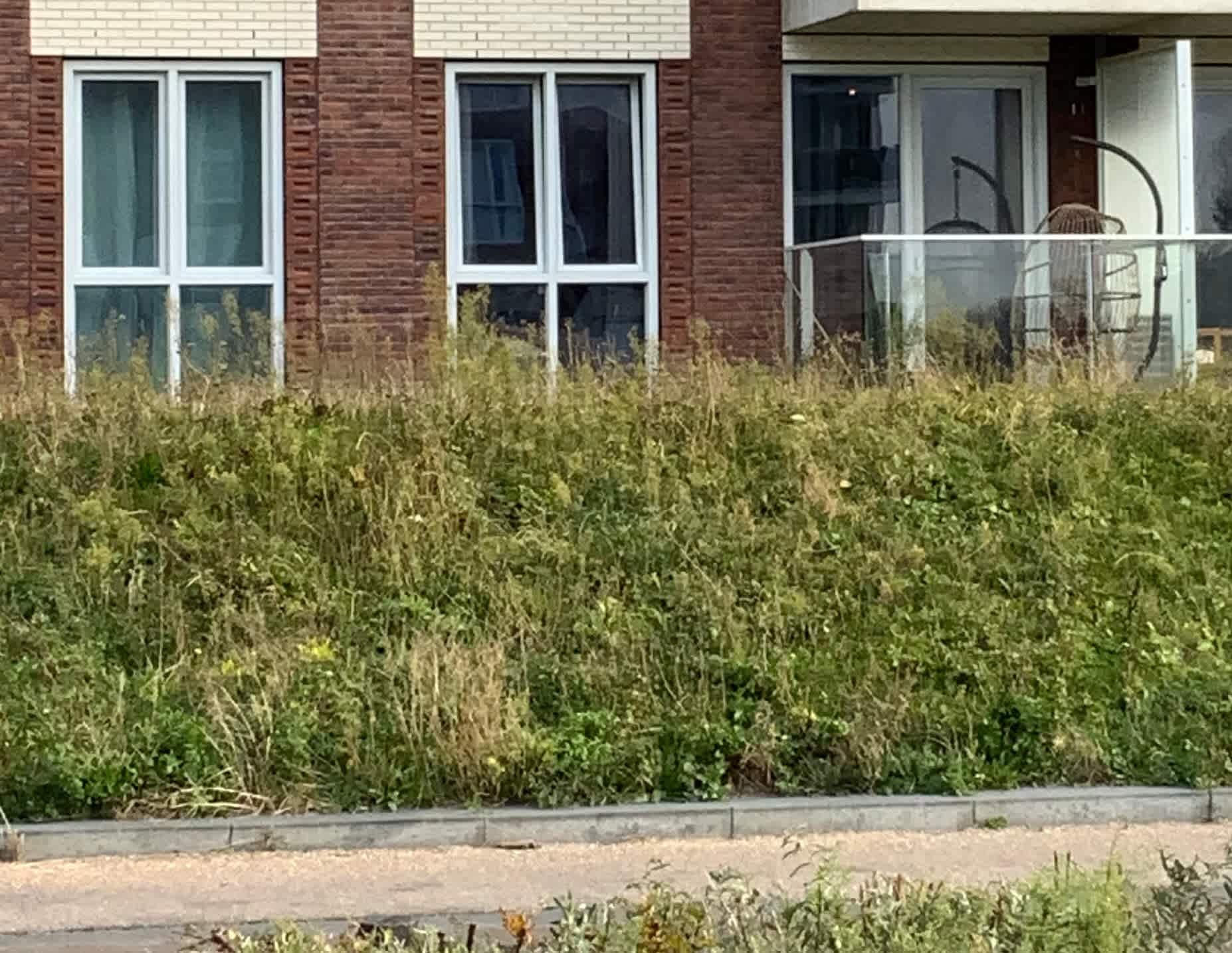 Reeuwijkpark 146 - Heemskerk