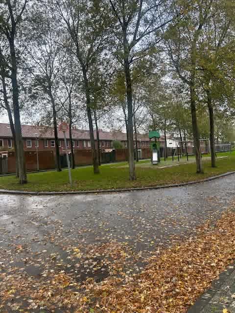 Siciliano 109 - Nieuw-Vennep