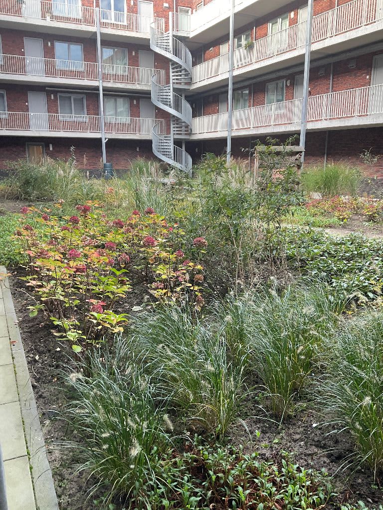 De Terp 4 - Geldermalsen