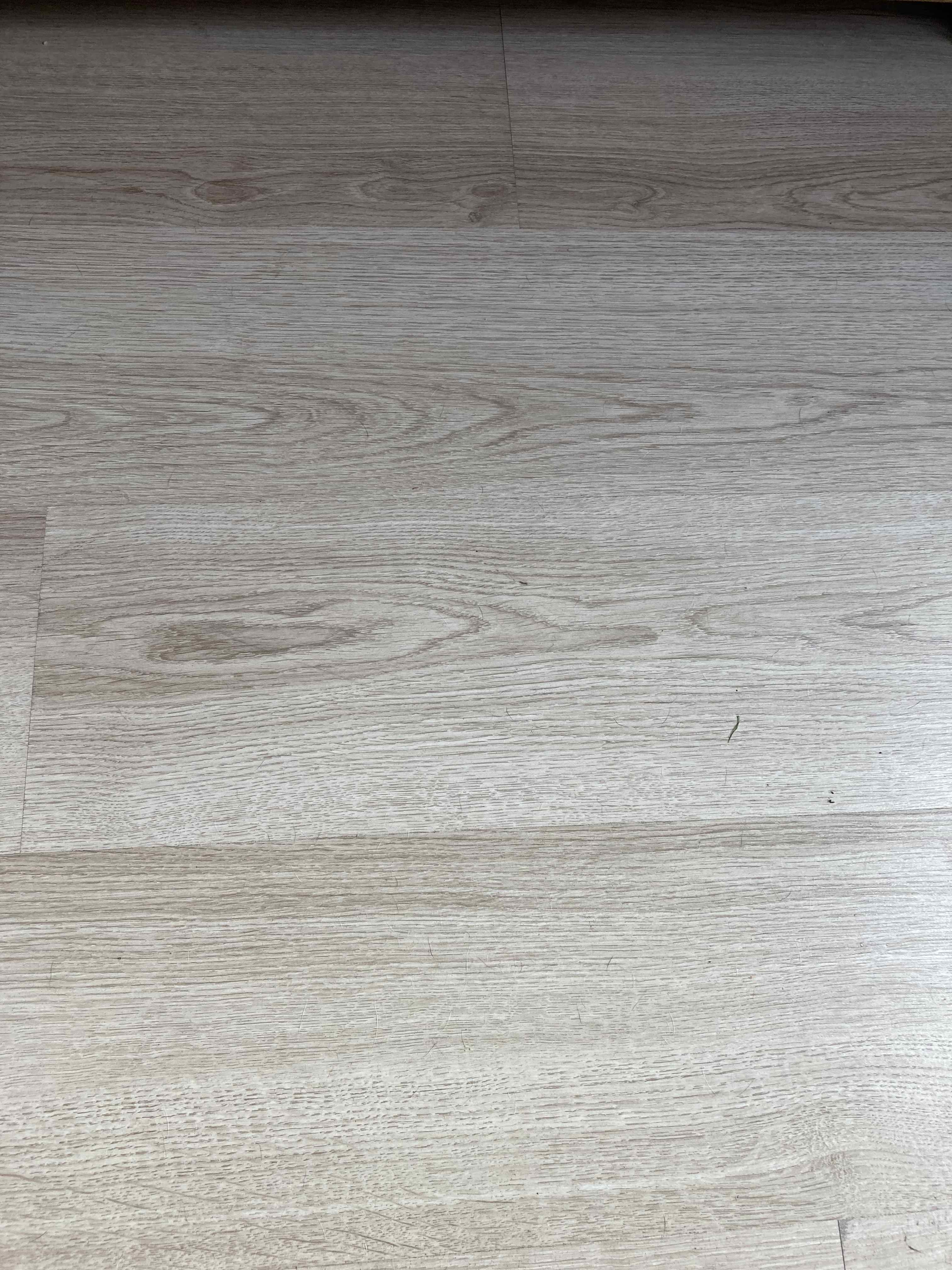 Reynvaanpad 1 - Haarlem