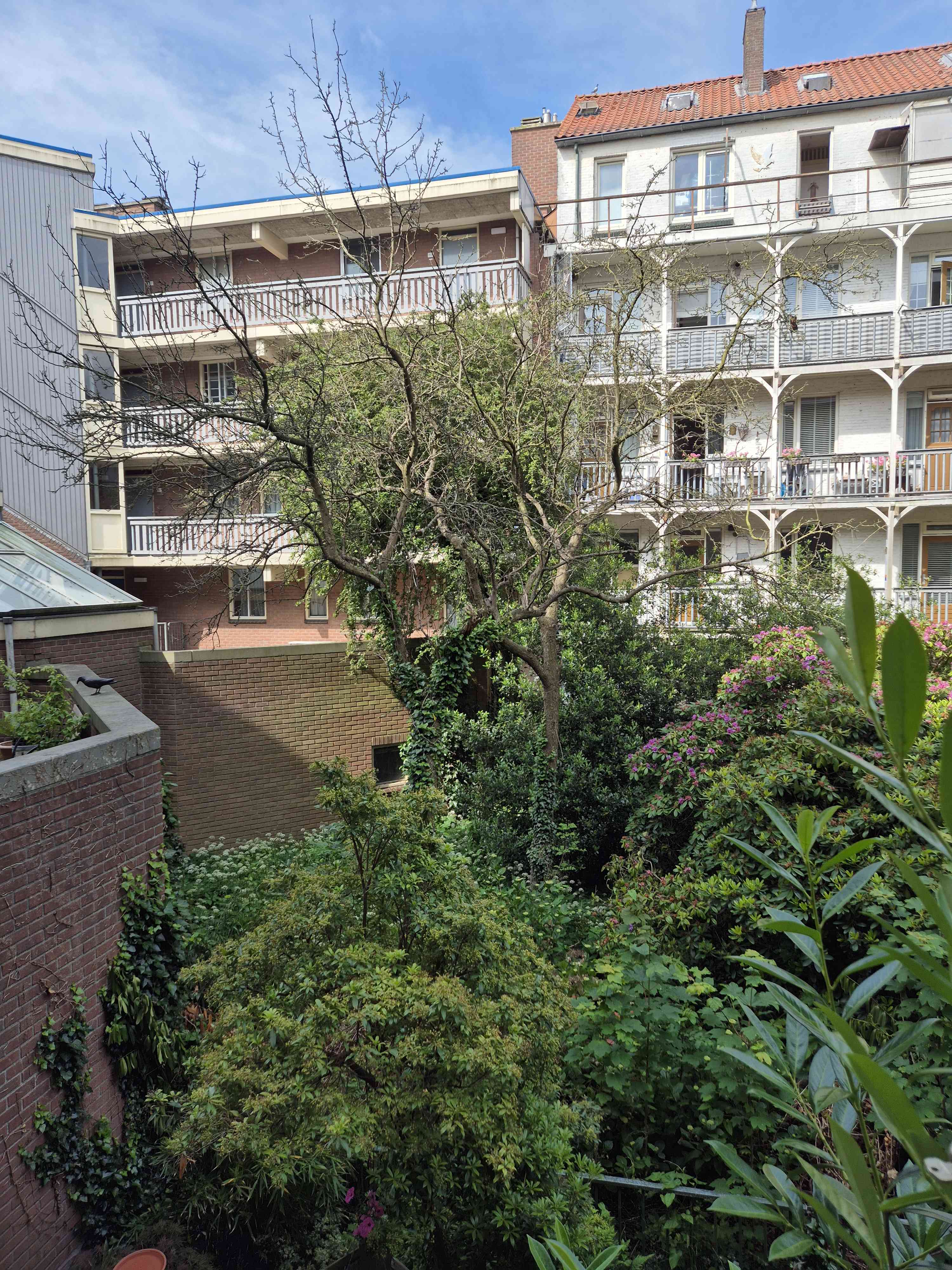 Van Hallstraat 158 - Amsterdam