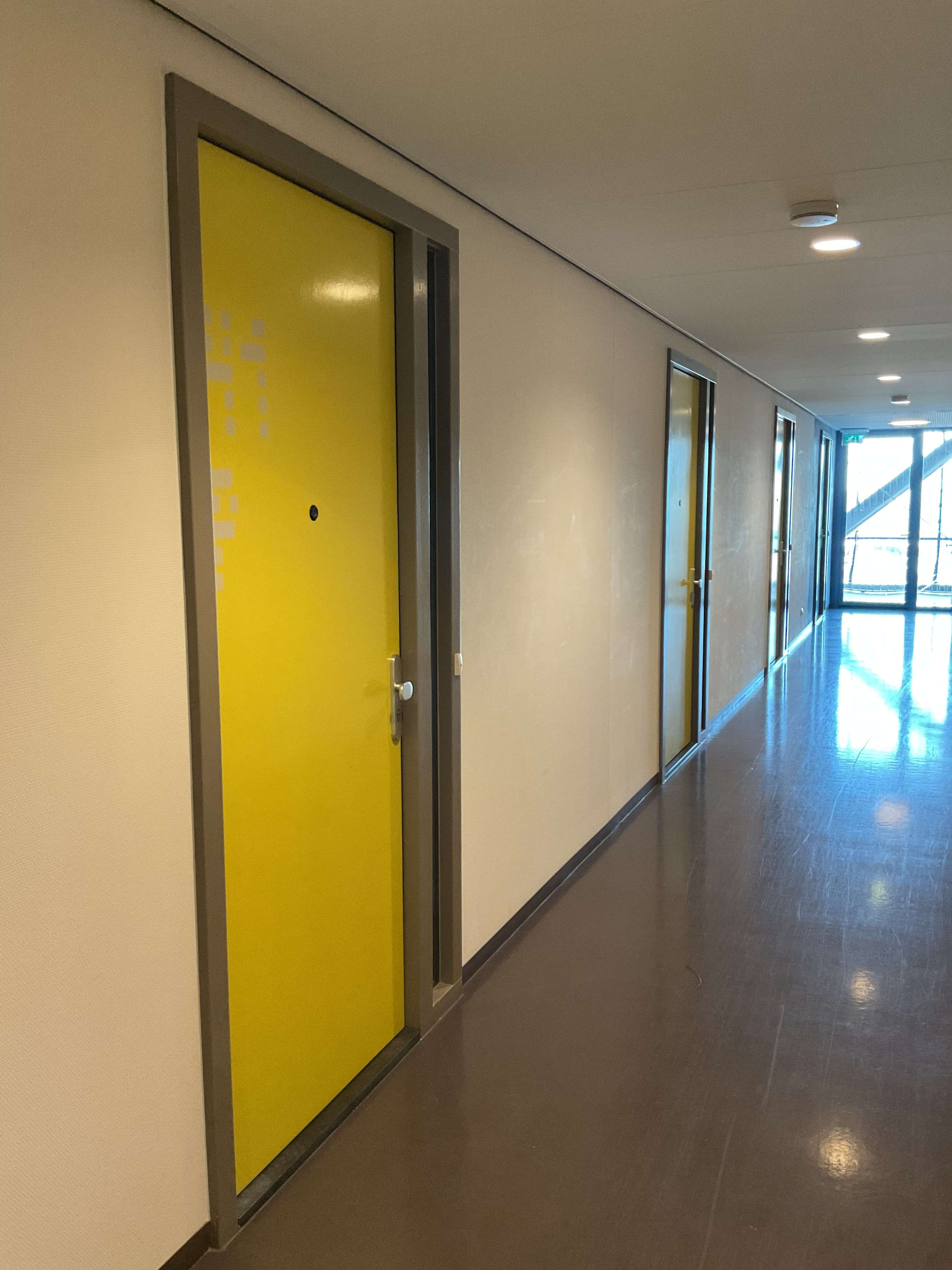 Bos en Lommerplantsoen 43-M - Amsterdam