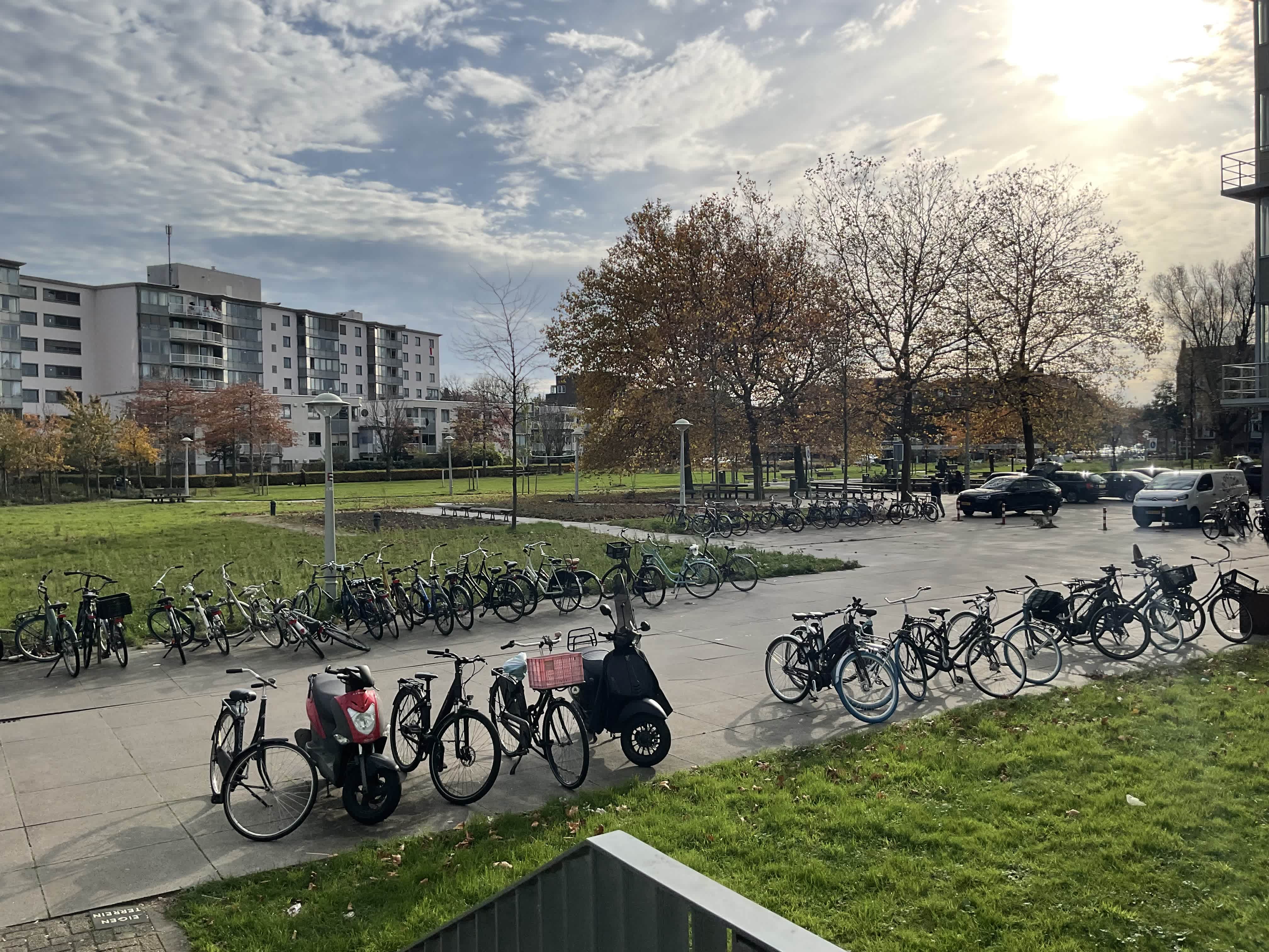 Bos en Lommerplantsoen 43-M - Amsterdam