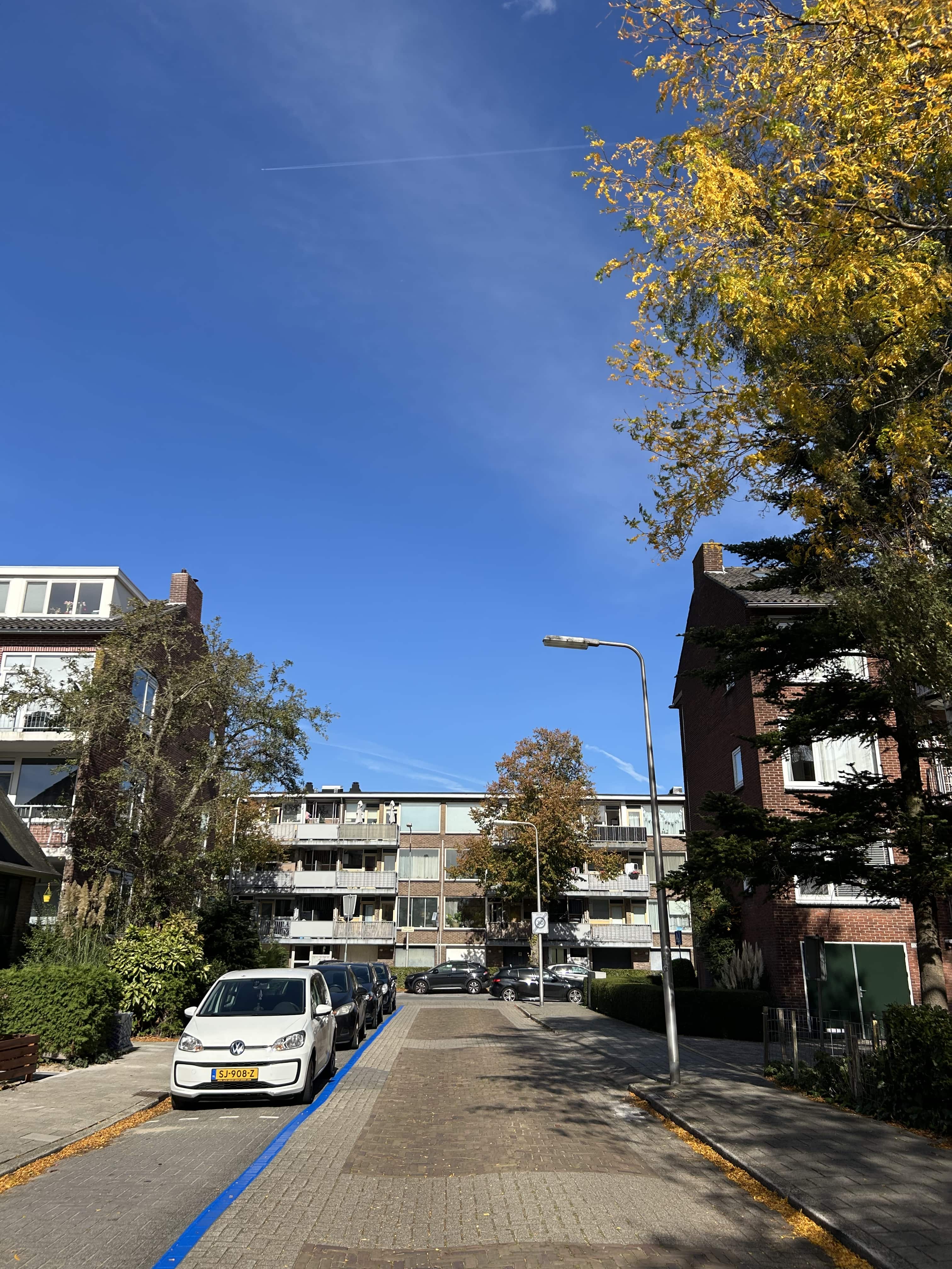 Prinses Marijkestraat 176 - Diemen