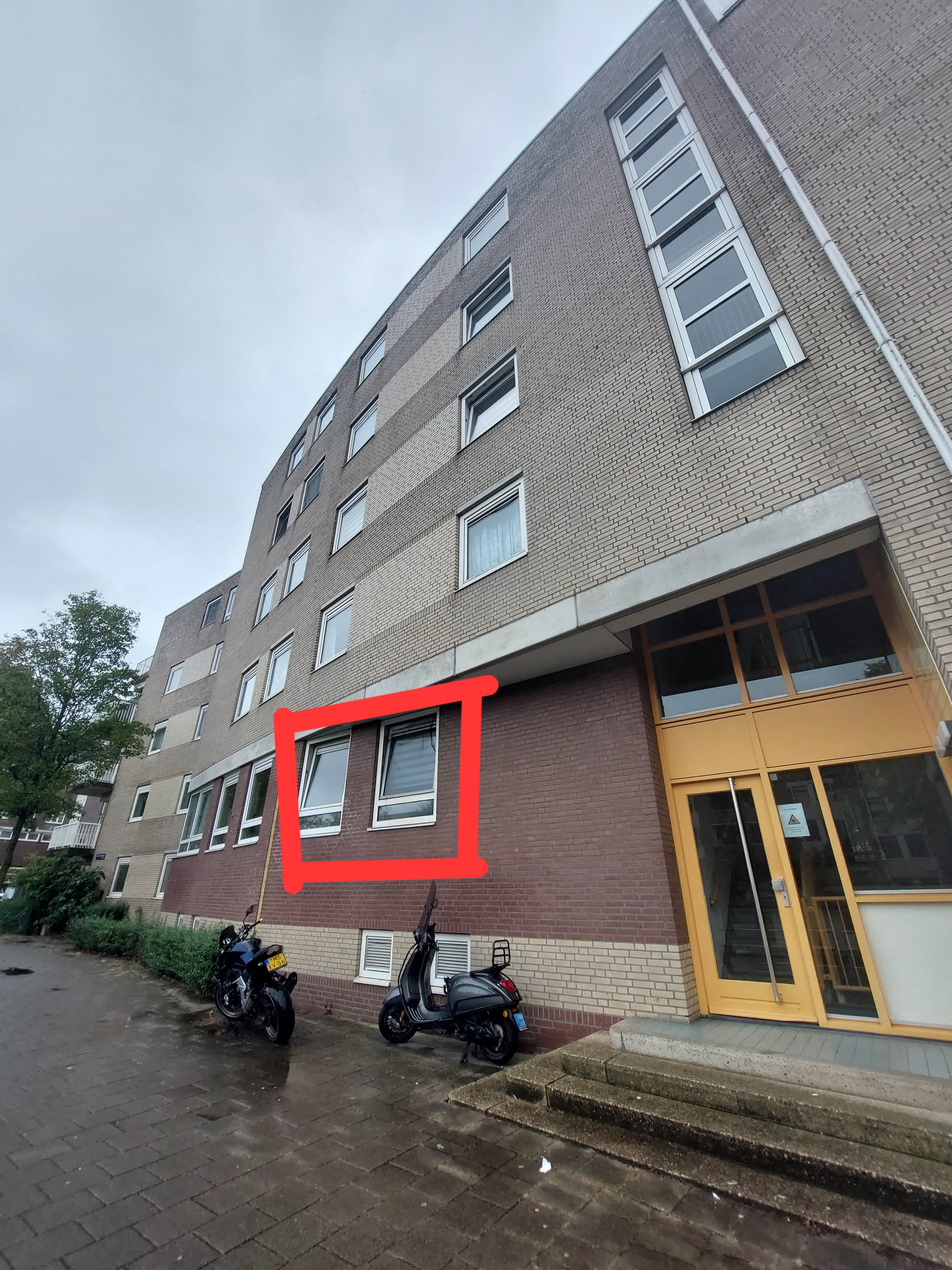 apartments for rent on Gerard Borstkade 18