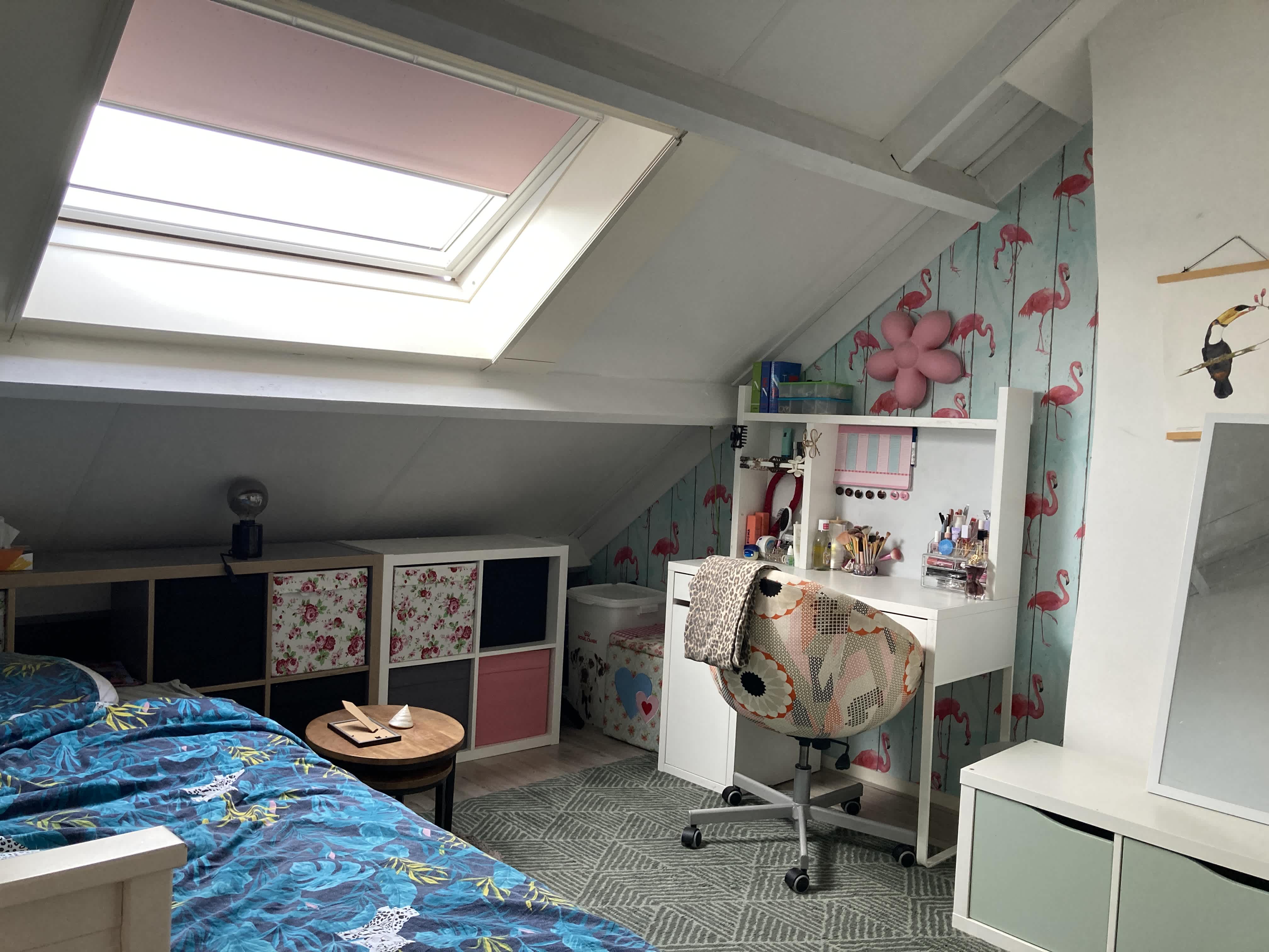 Prins Johan Frisostraat 13 - Baambrugge