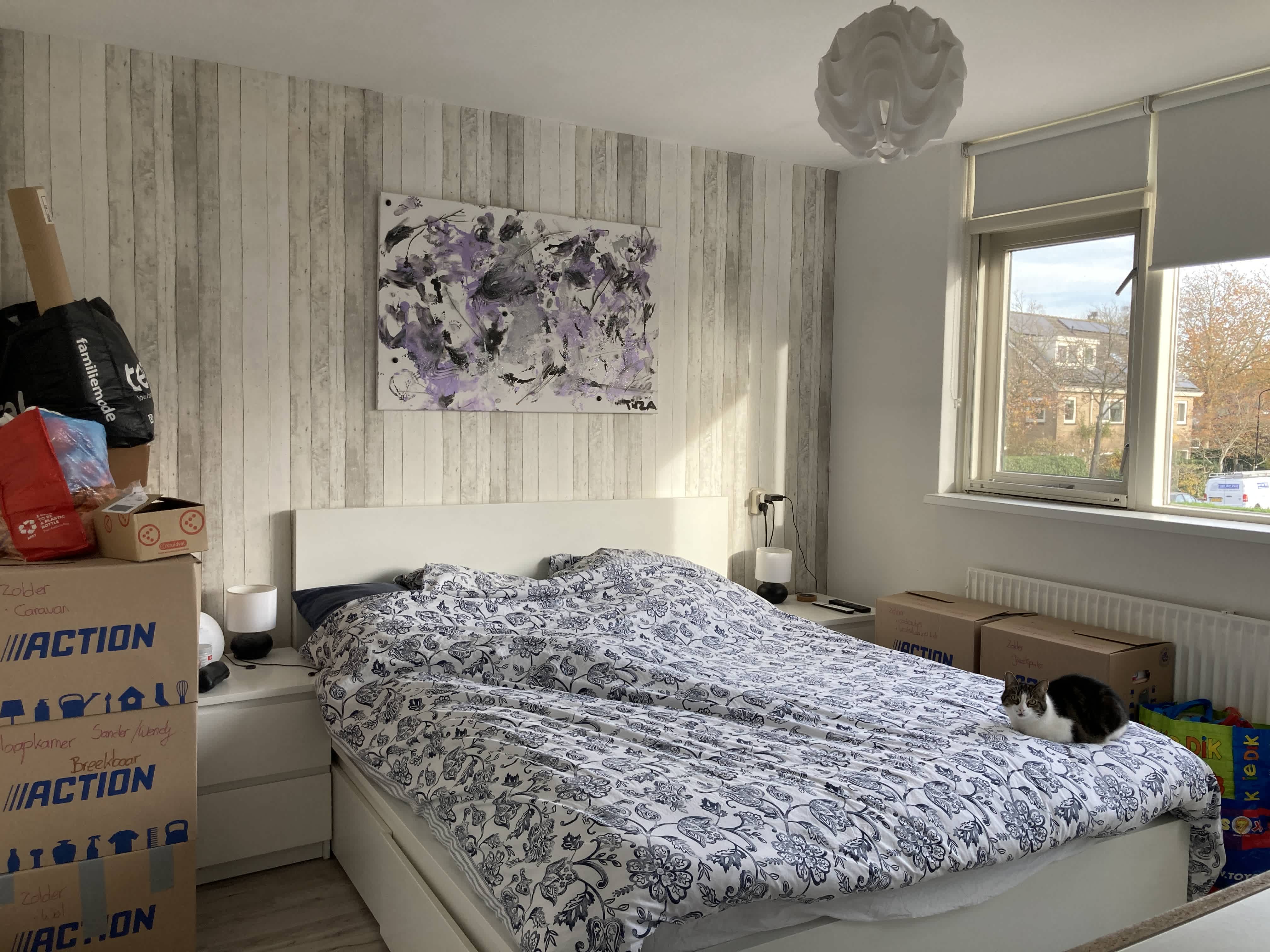 Prins Johan Frisostraat 13 - Baambrugge