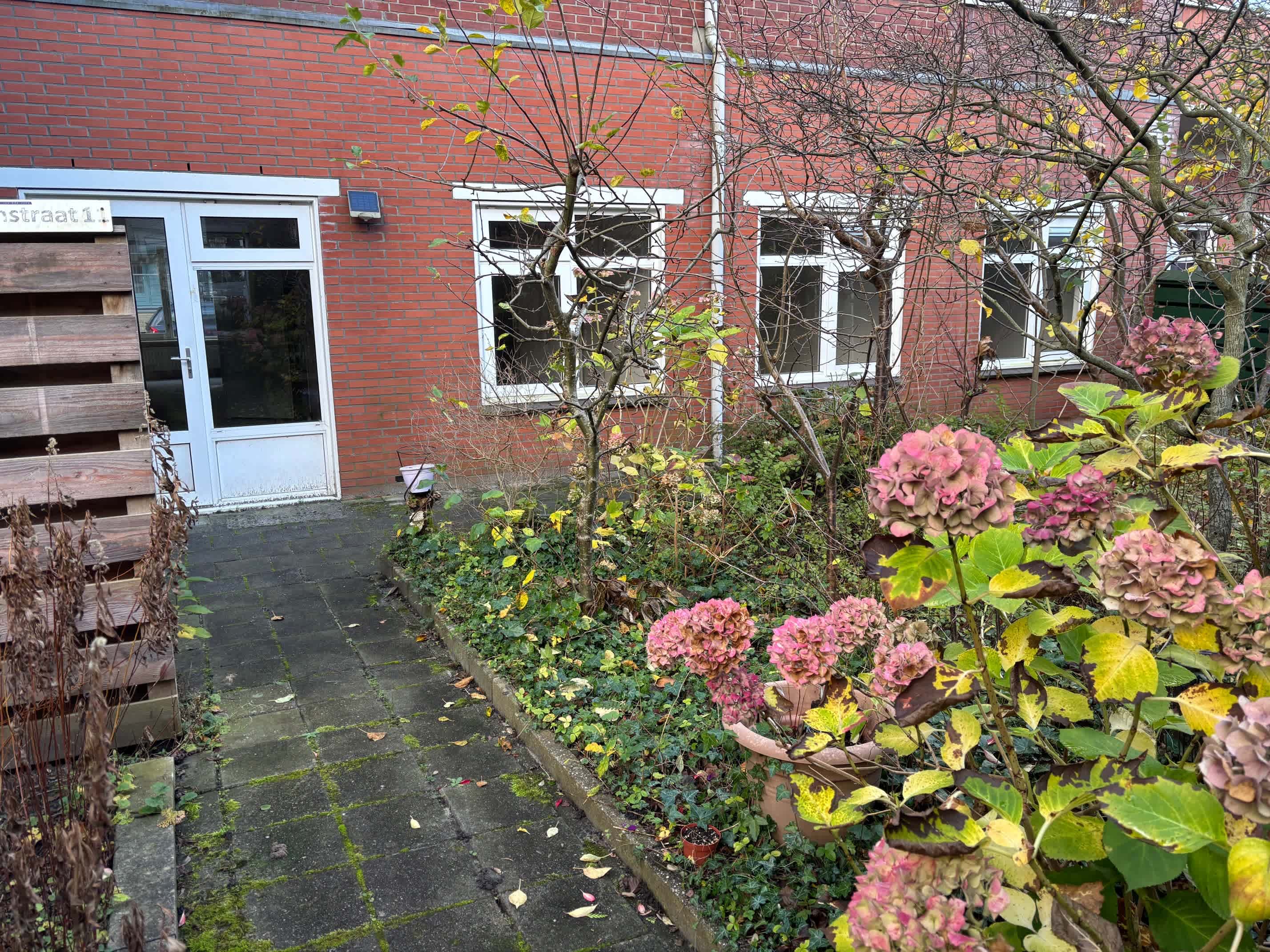 Violenstraat 11 - Groningen