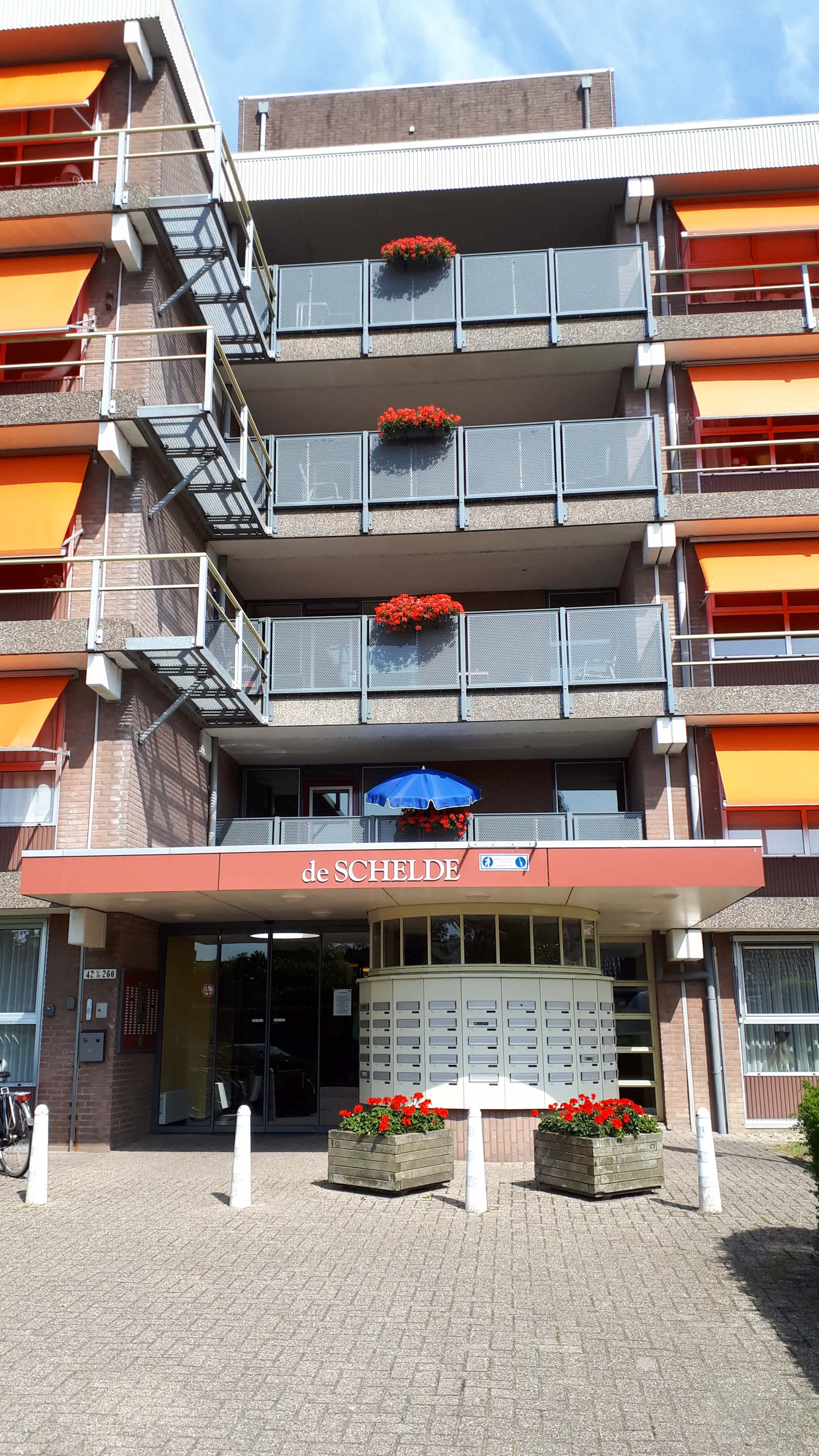 Scheldestraat 156 - Winschoten