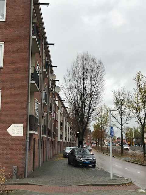 H Gerhardstraat 225 - Zaandam