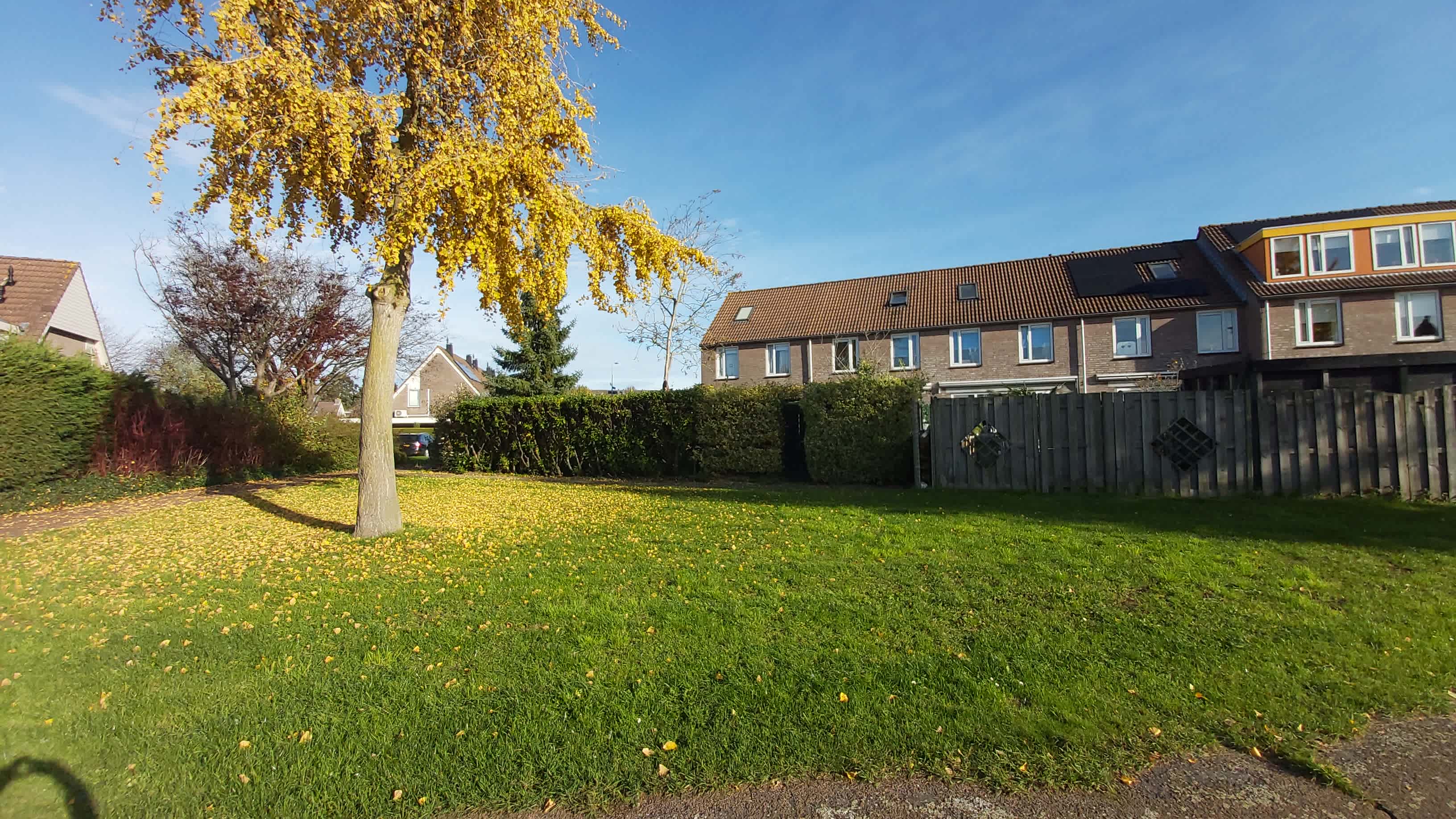 Nicolaas Beetsstraat 47 - Tiel