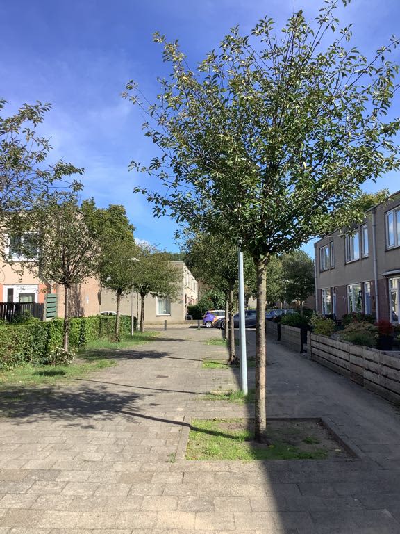 Ajaxdreef 1 - Utrecht