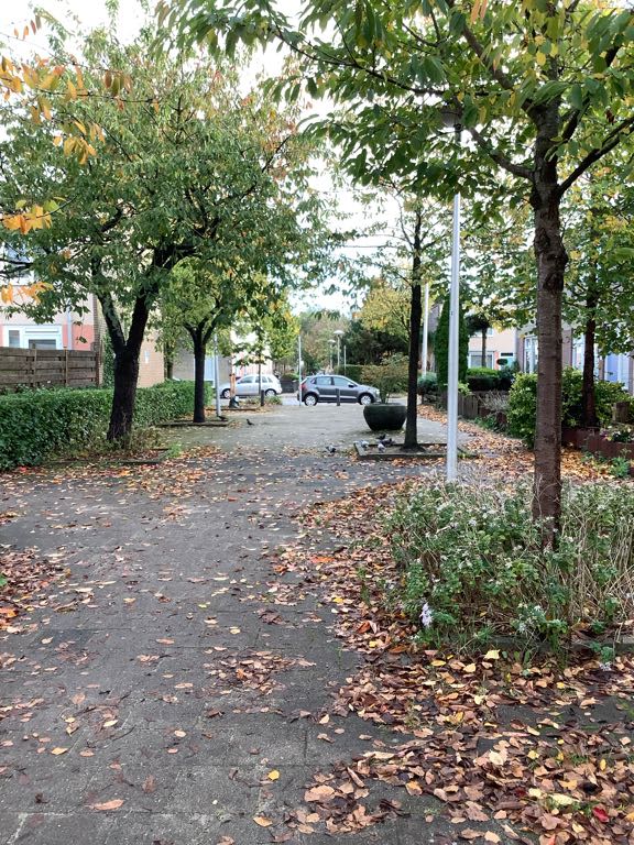 Cupidodreef 10 - Utrecht