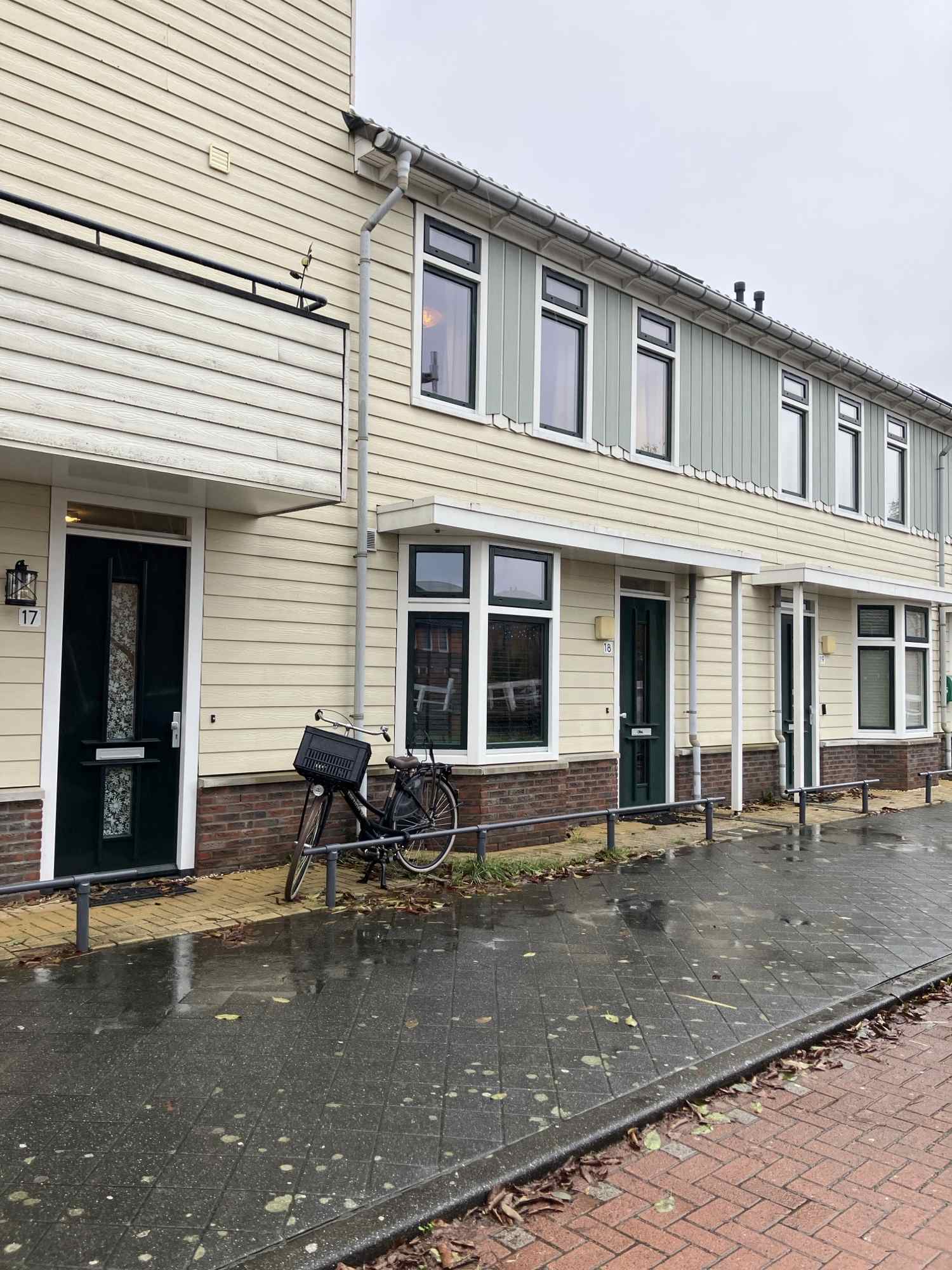 free-sector-houses for rent on Eschersingel 18