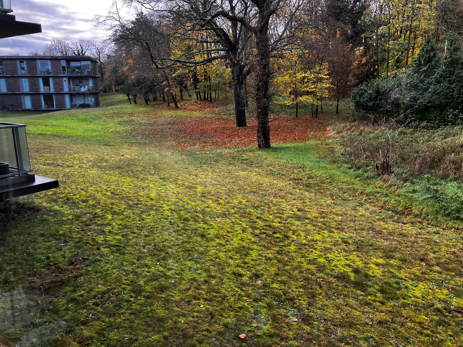 homes for rent on Zuster Constancelaantje 9