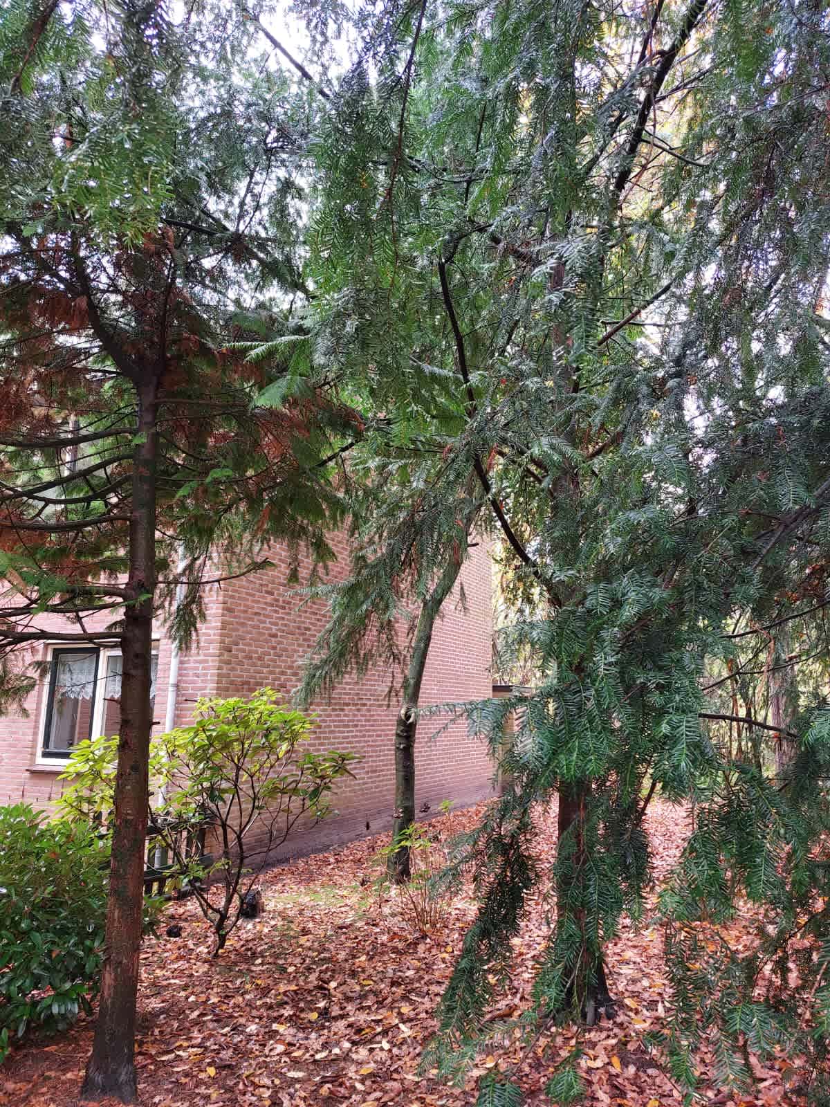 Noorderplantsoen 20 - Driebergen-Rijsenburg