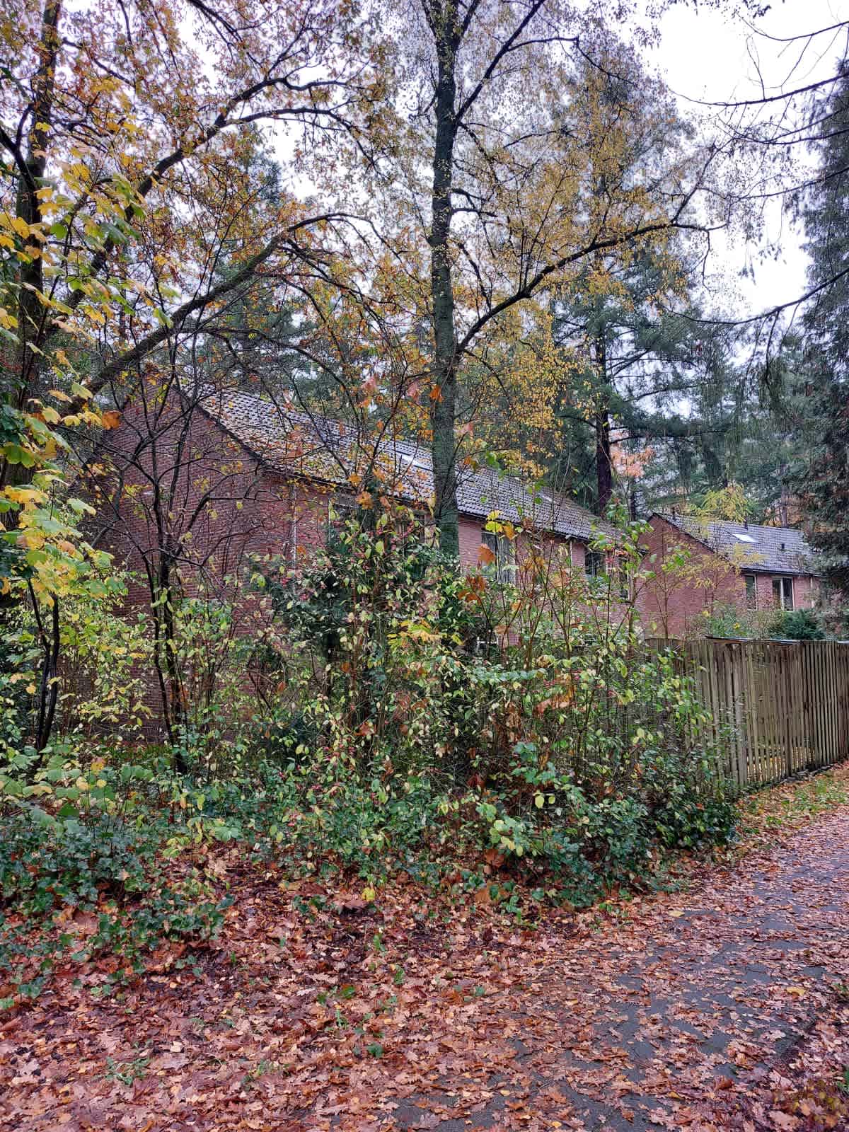 Noorderplantsoen 20 - Driebergen-Rijsenburg