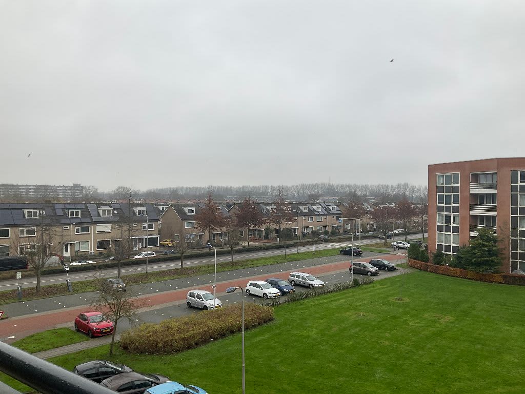 Martin Luther King 69 - Culemborg