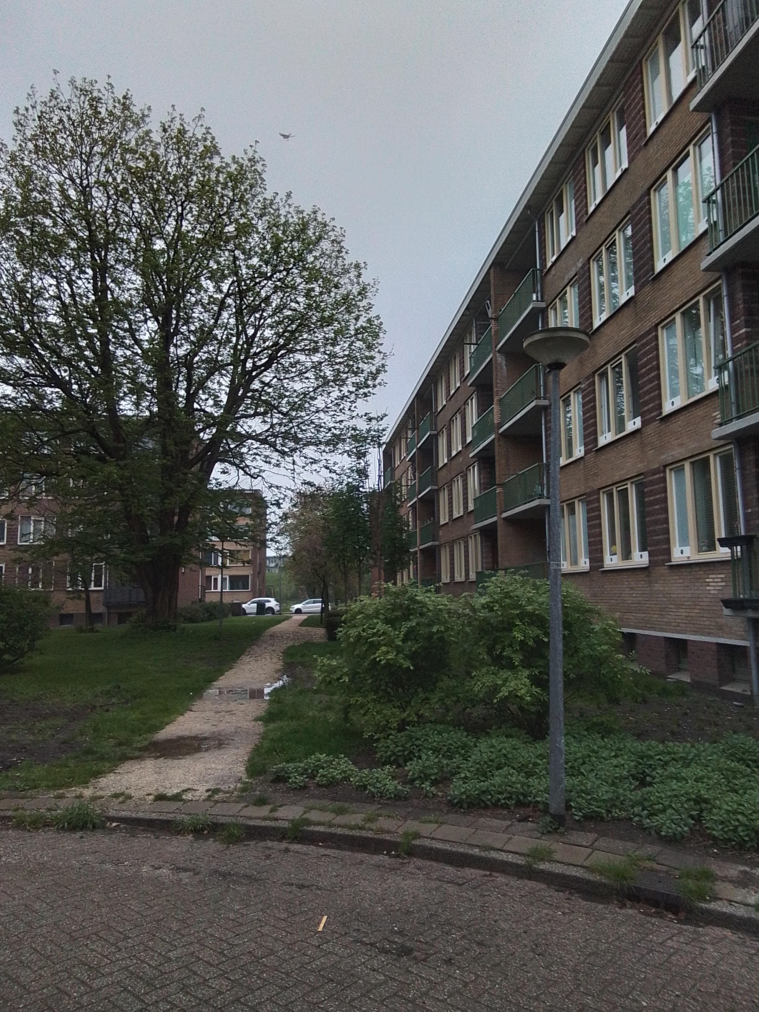 Sportparklaan 71 - Weesp