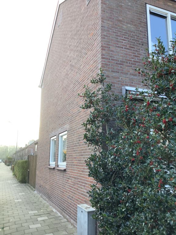 Blokmakersstraat 31 - Alblasserdam