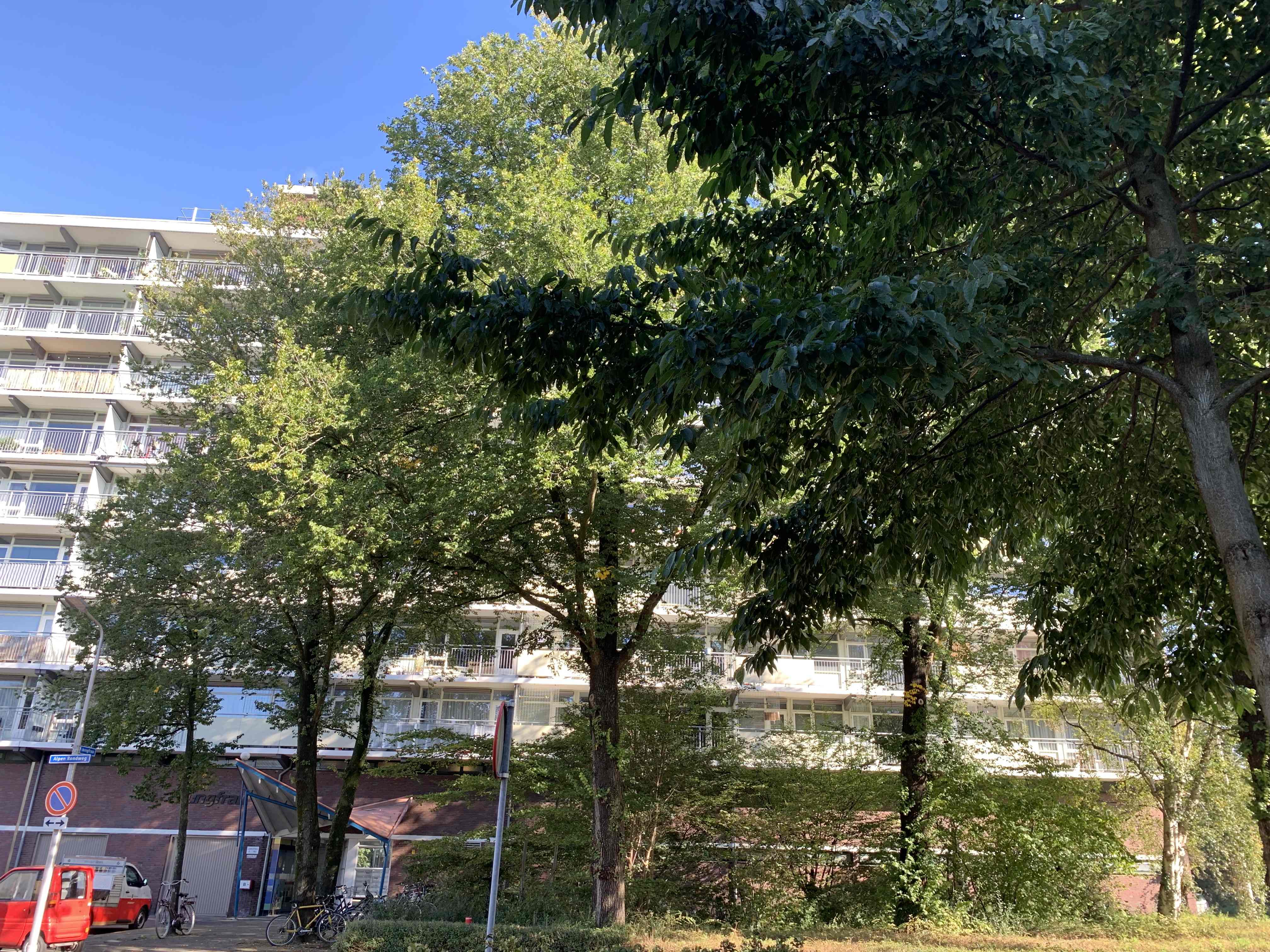 Monte Rosa 146 - Amstelveen