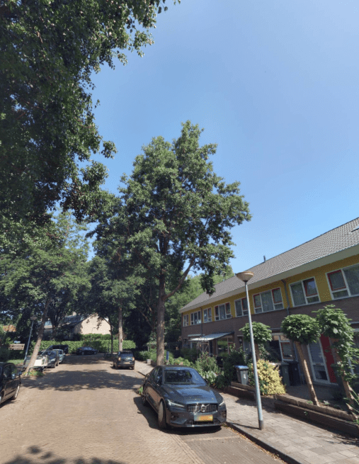 Paulus Potterlaan 10 - Muiderberg