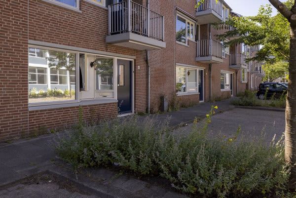 Burgemeester Fockema Andreaelaan 42 - Utrecht