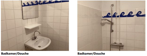 Grote Beer 24B - Amstelveen