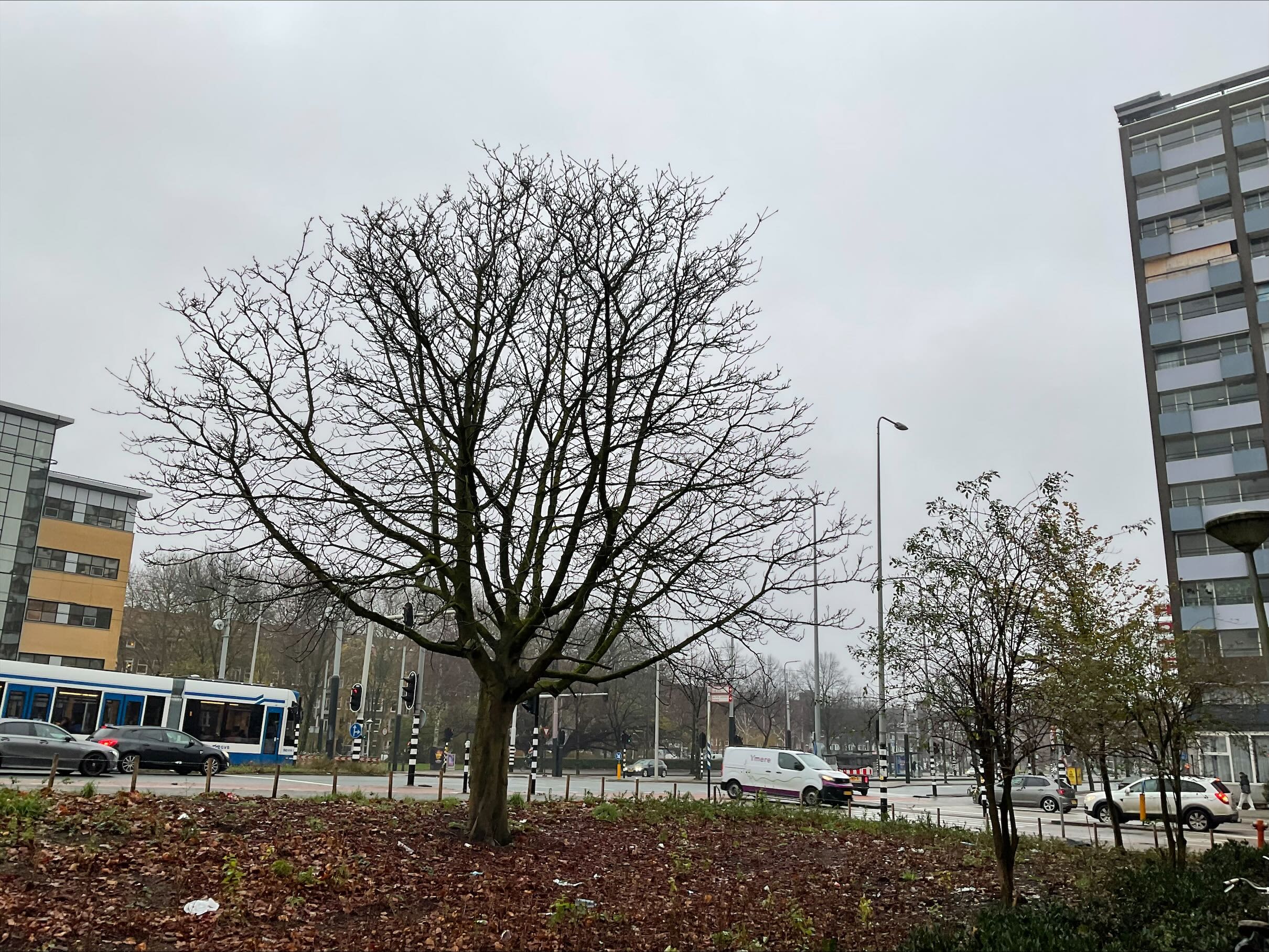 Surinameplein 109 - Amsterdam