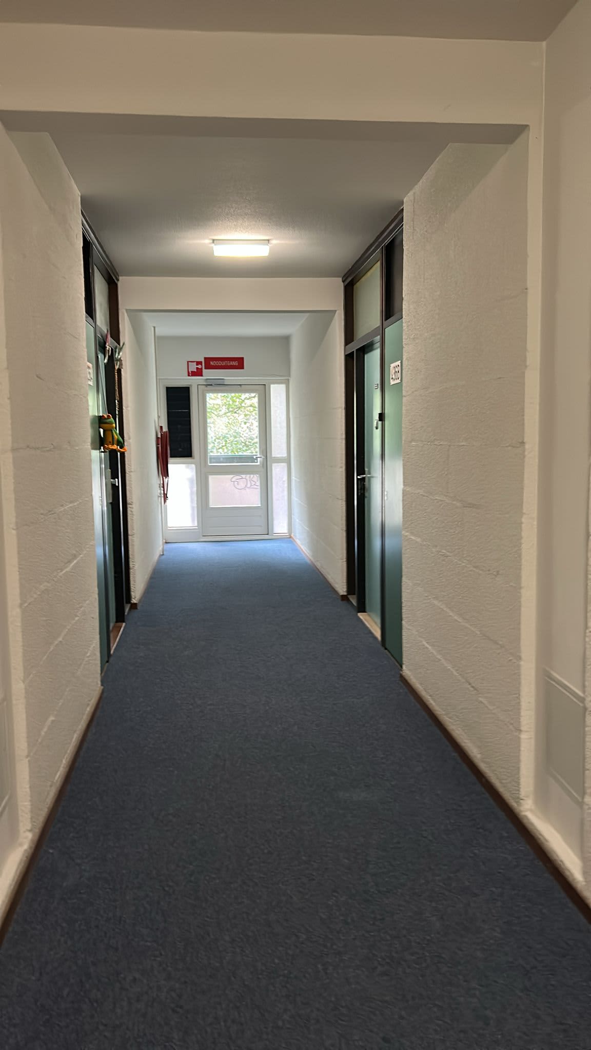 Bolestein 434B - Amsterdam