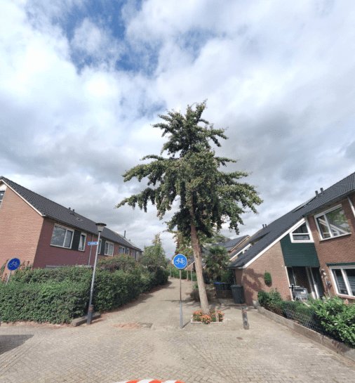 Emmerrek 43 - Blaricum