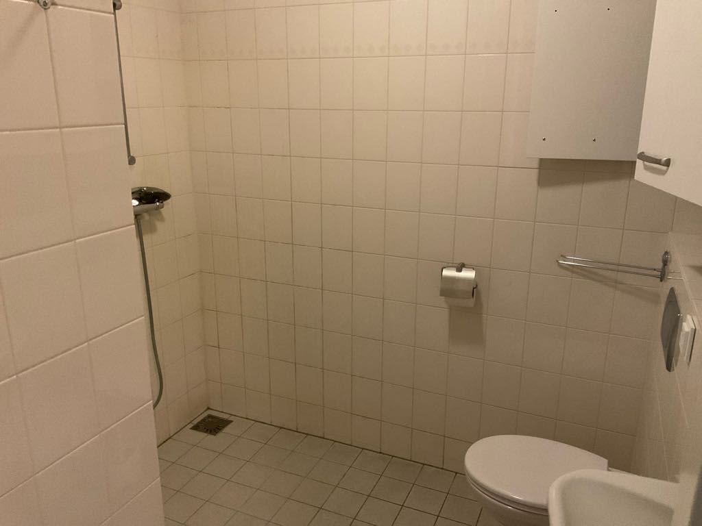 Wilhelminalaan 55 - Brakel