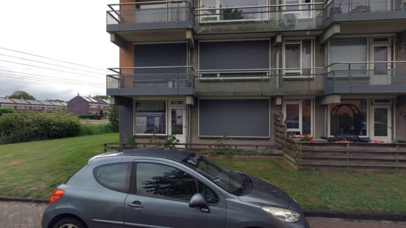 Grote Beer 23 - Hoogezand