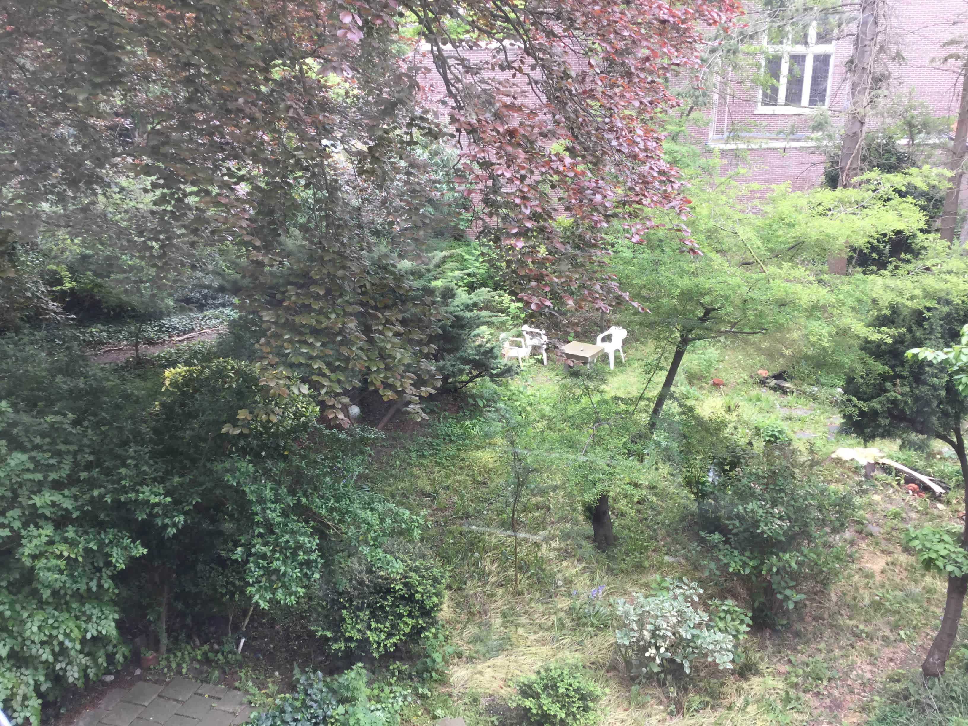 Raamsingel 2-0012 - Haarlem