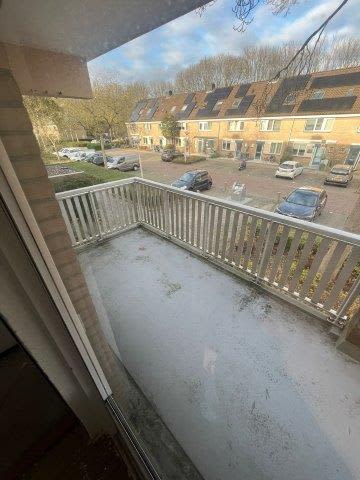 Schoener 289 - Amstelveen