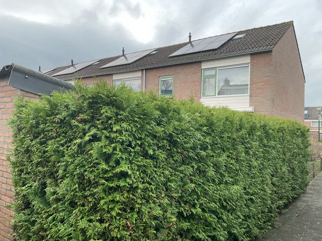 Prinses Beatrixstraat 11 - Waardenburg