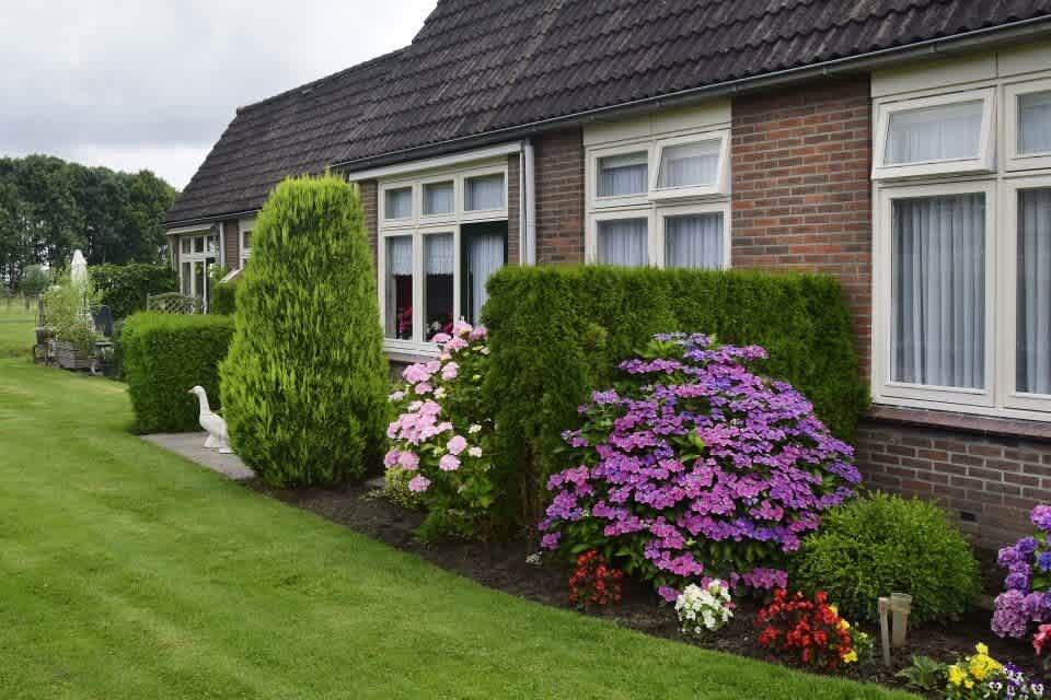 de Eiken 6 - Wagenborgen